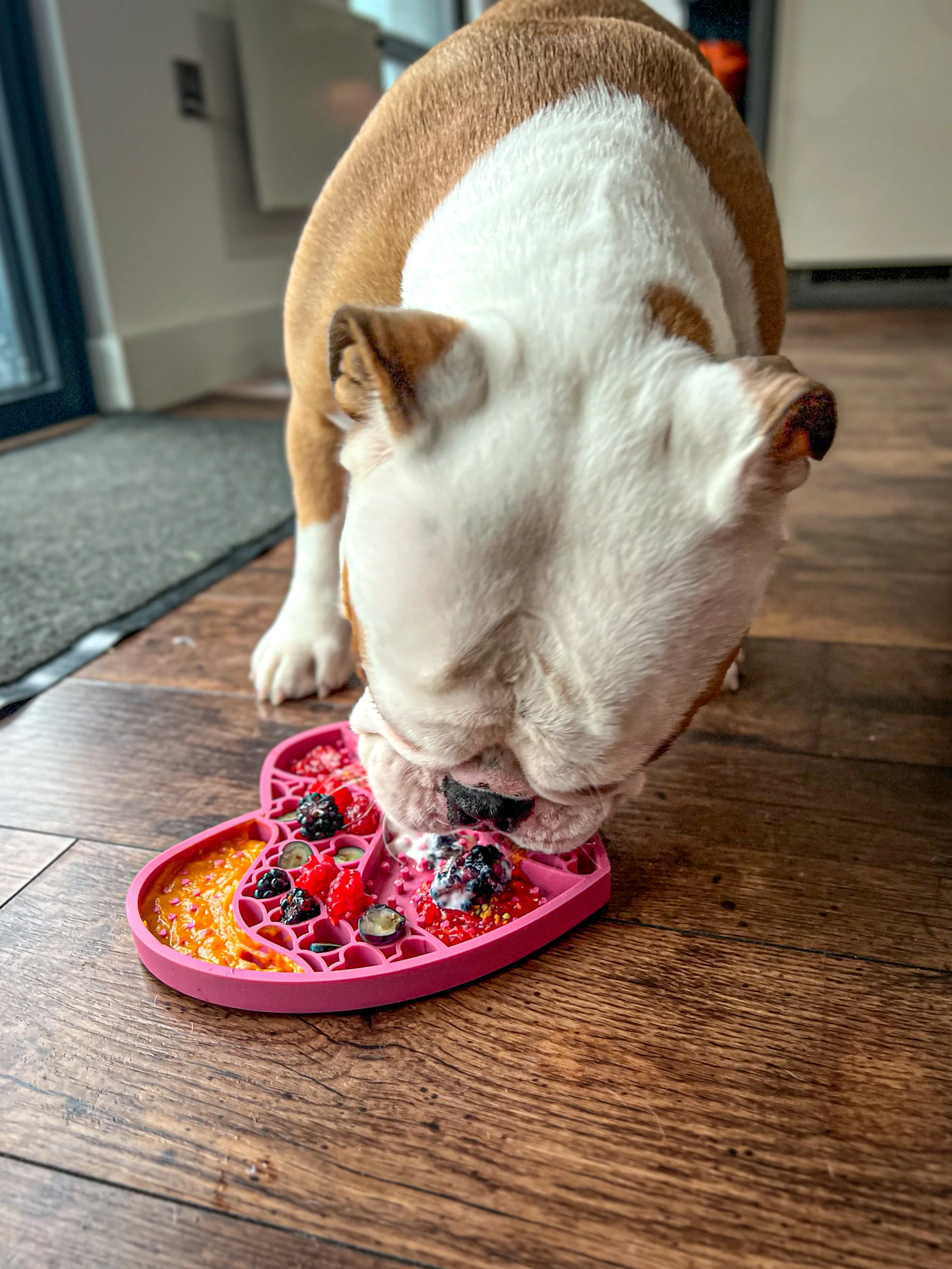 Lick Mat - Raspberry Pink - Image 14
