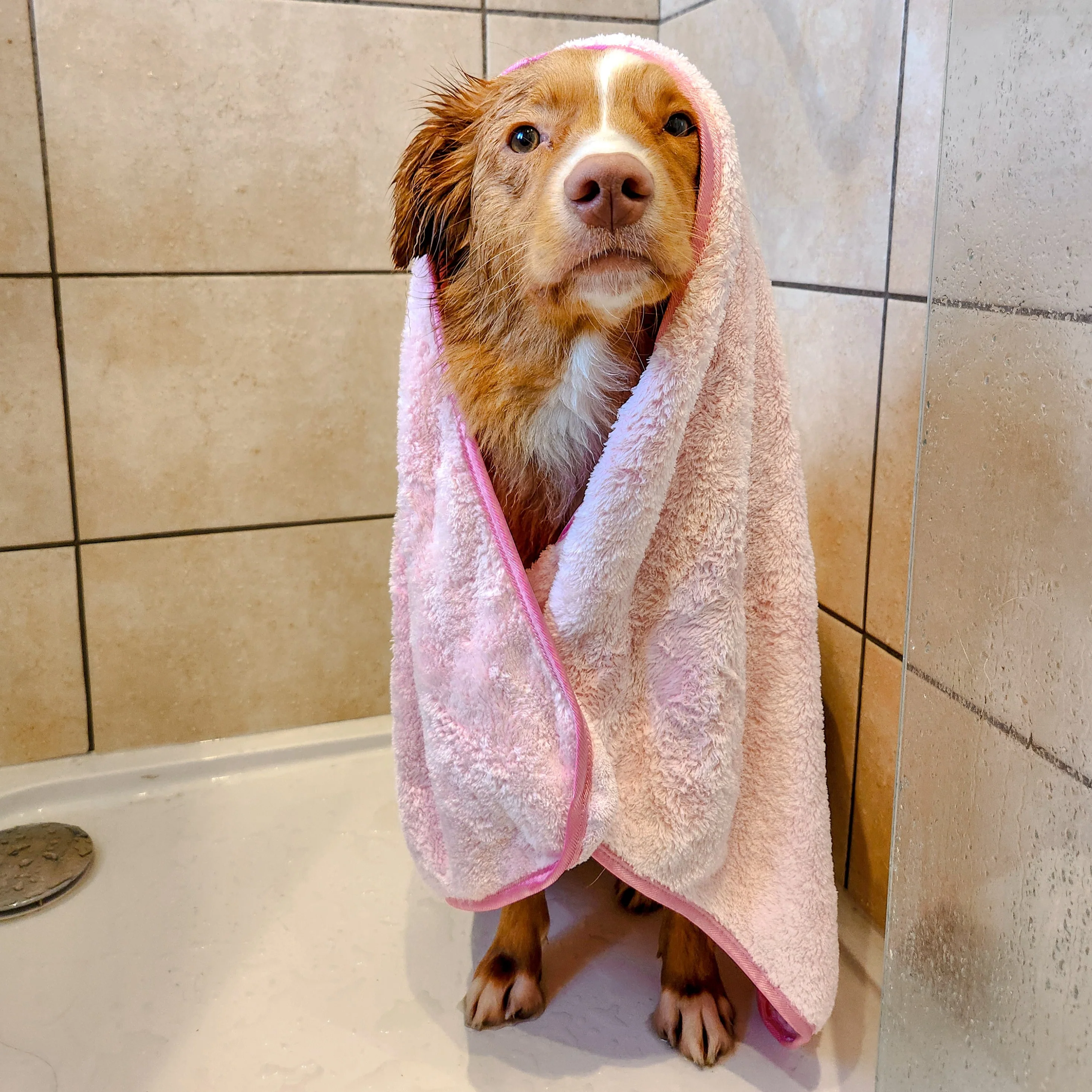 Disney© Microfibre Towel - Piglet - Image 5