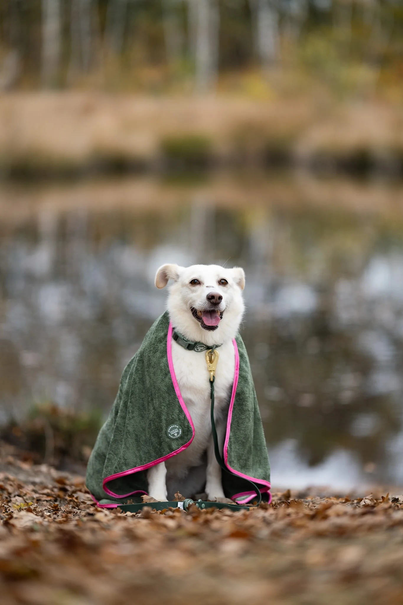 Microfibre Towel - Walkies Ready® - Image 4