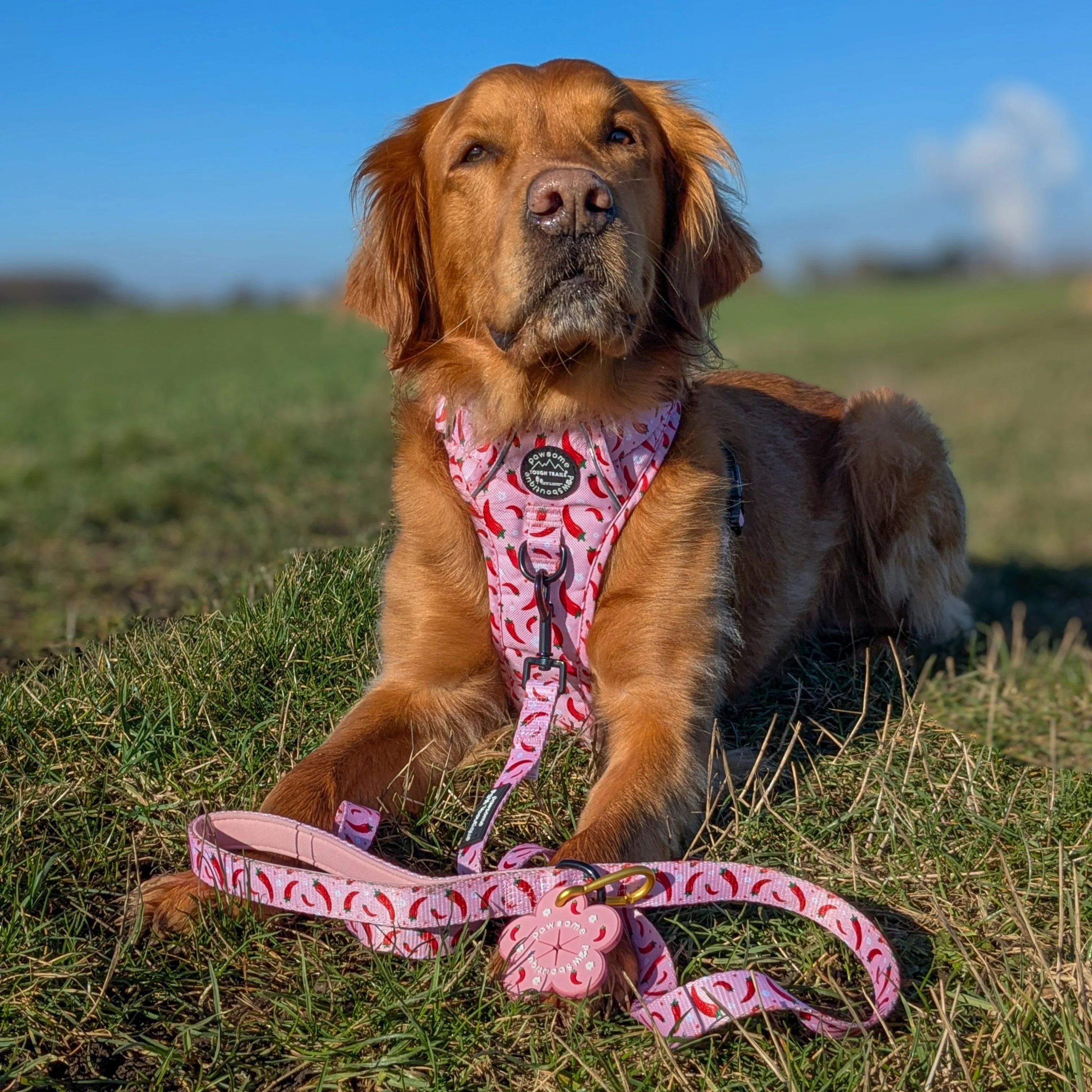 Pawsome Poop Pocket - Chilli Dog Flower - Image 2