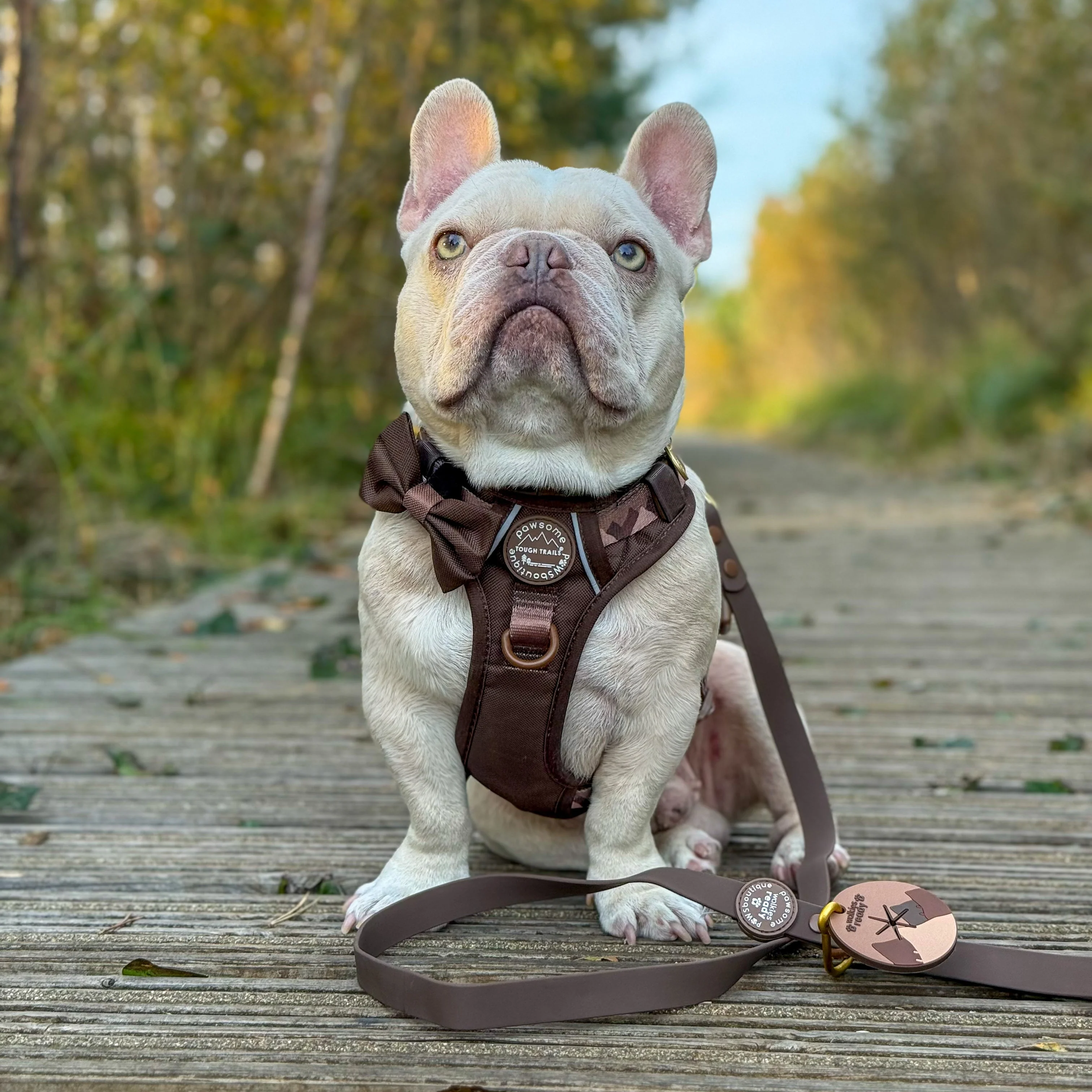 Pawsome Poop Pocket - Walkies Ready® - Chocolate Brown - Image 4