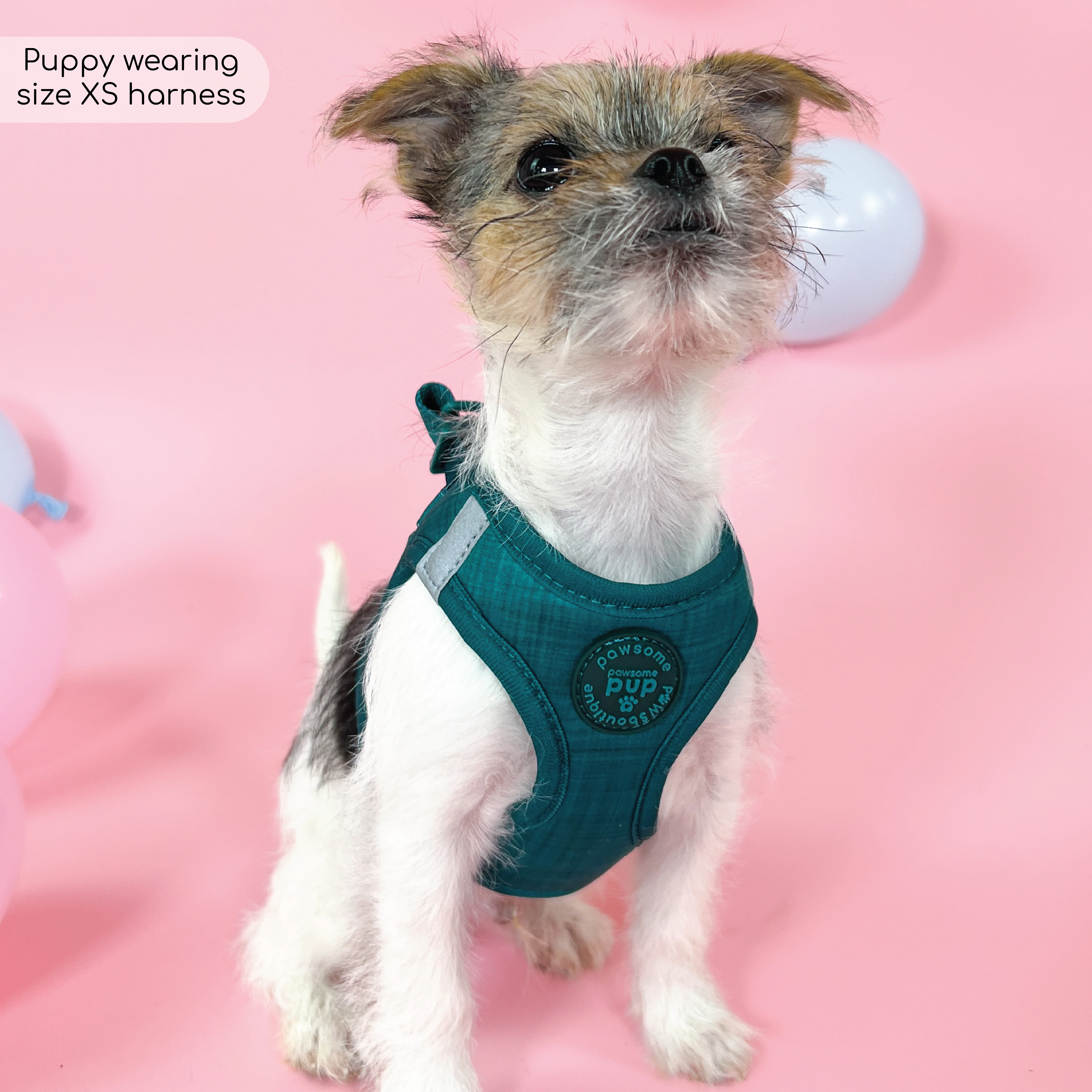 Pawsome Pup Harness - Emerald - Image 13
