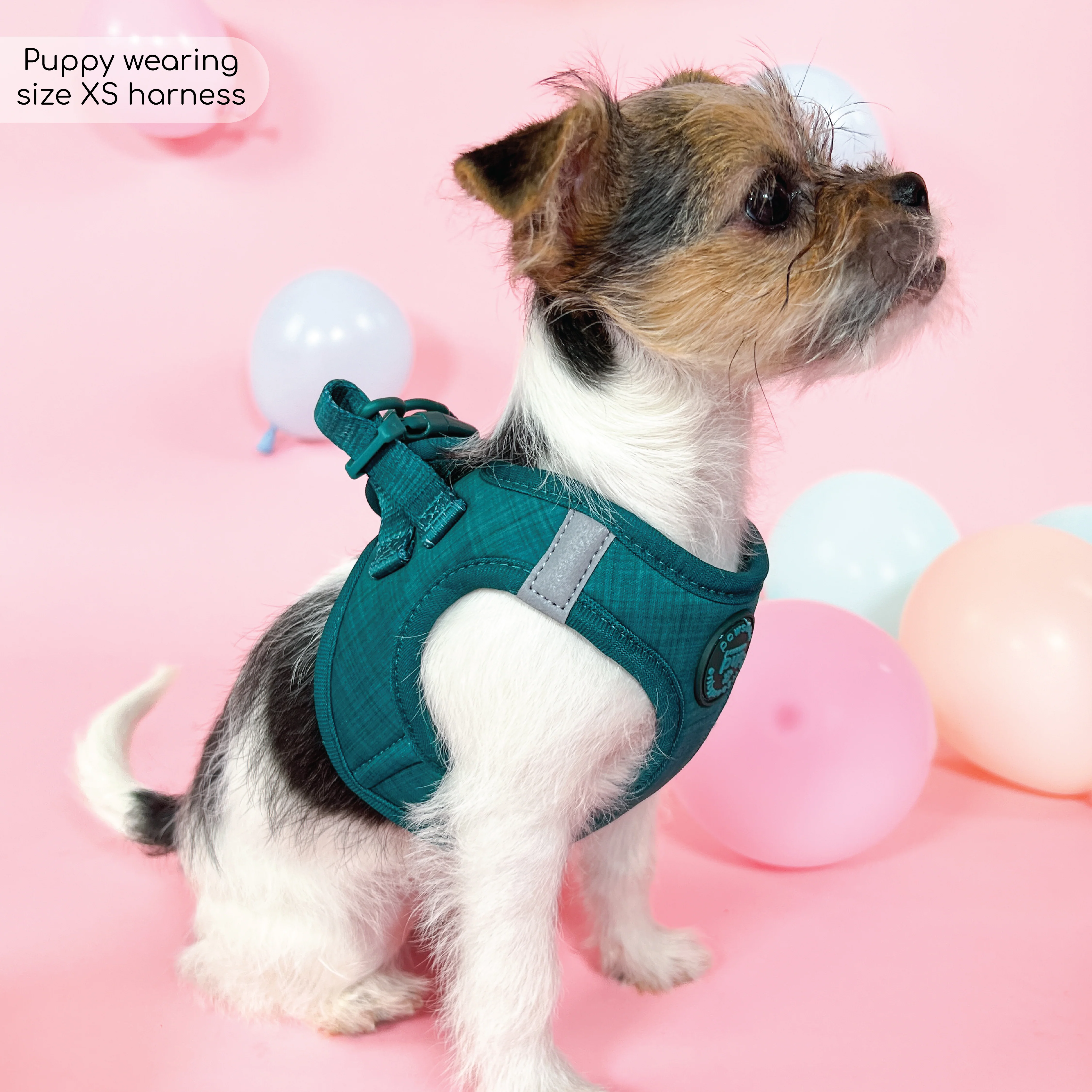 Pawsome Pup Harness - Emerald - Image 14