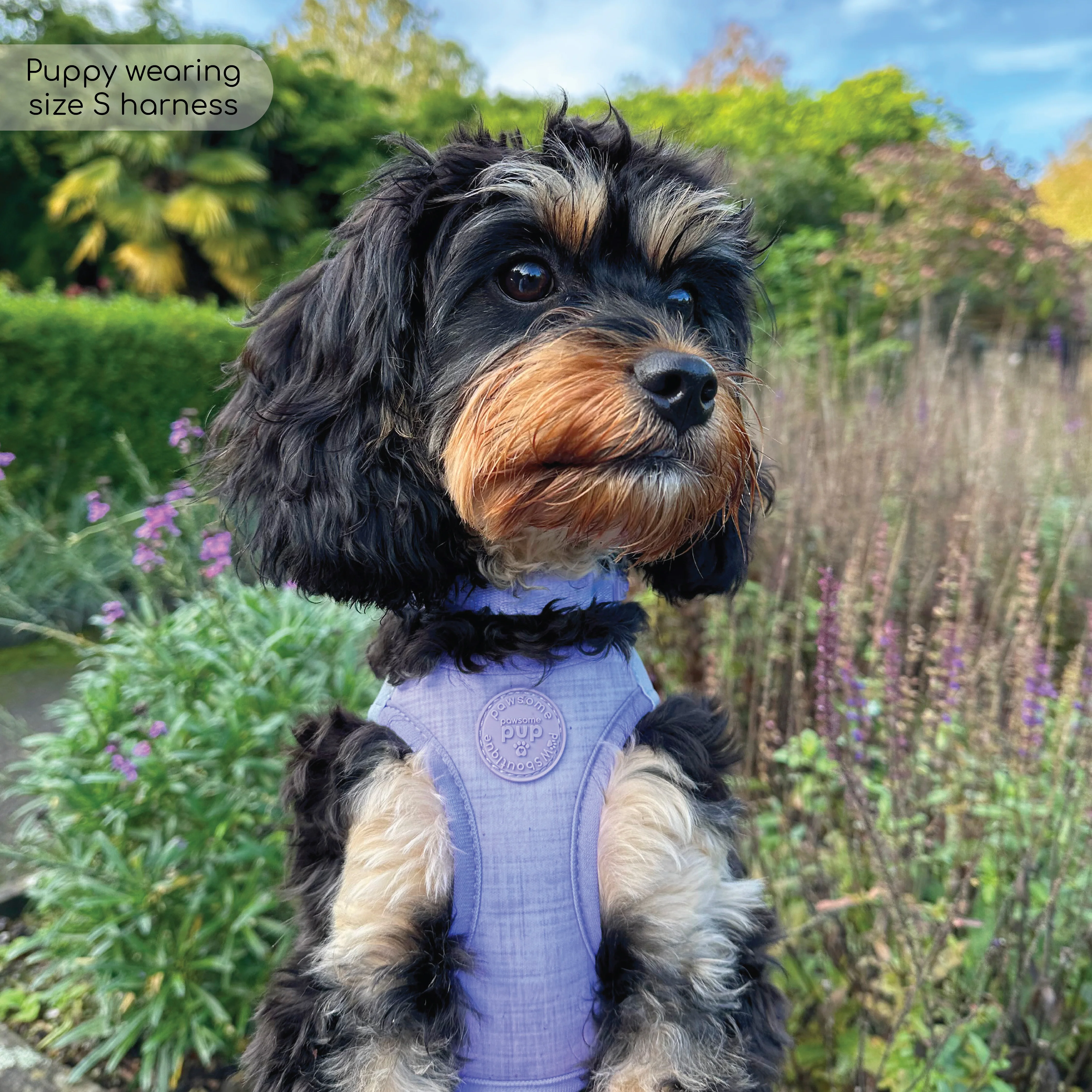 Pawsome Pup Harness - Lilac - Image 13