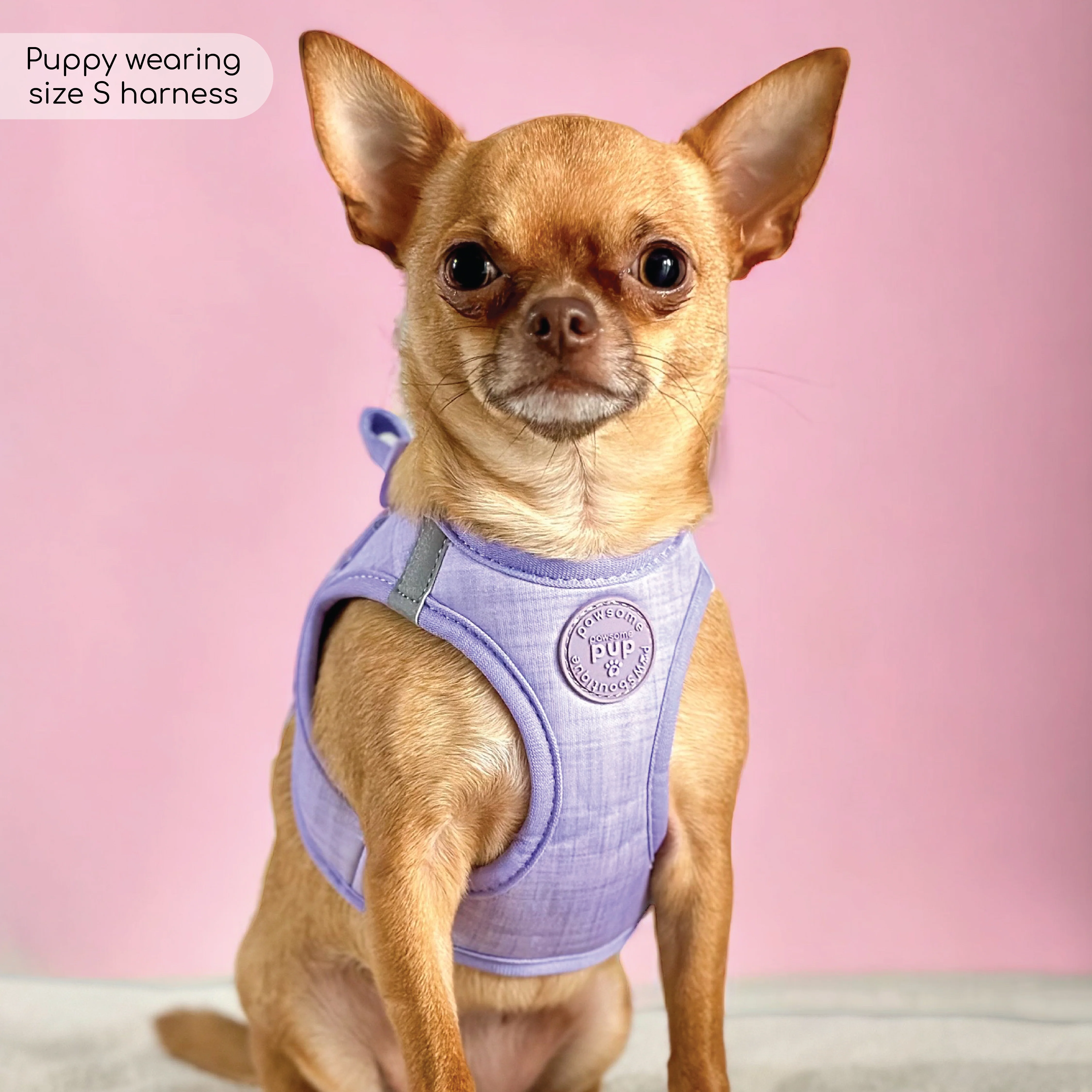 Pawsome Pup Harness - Lilac - Image 14