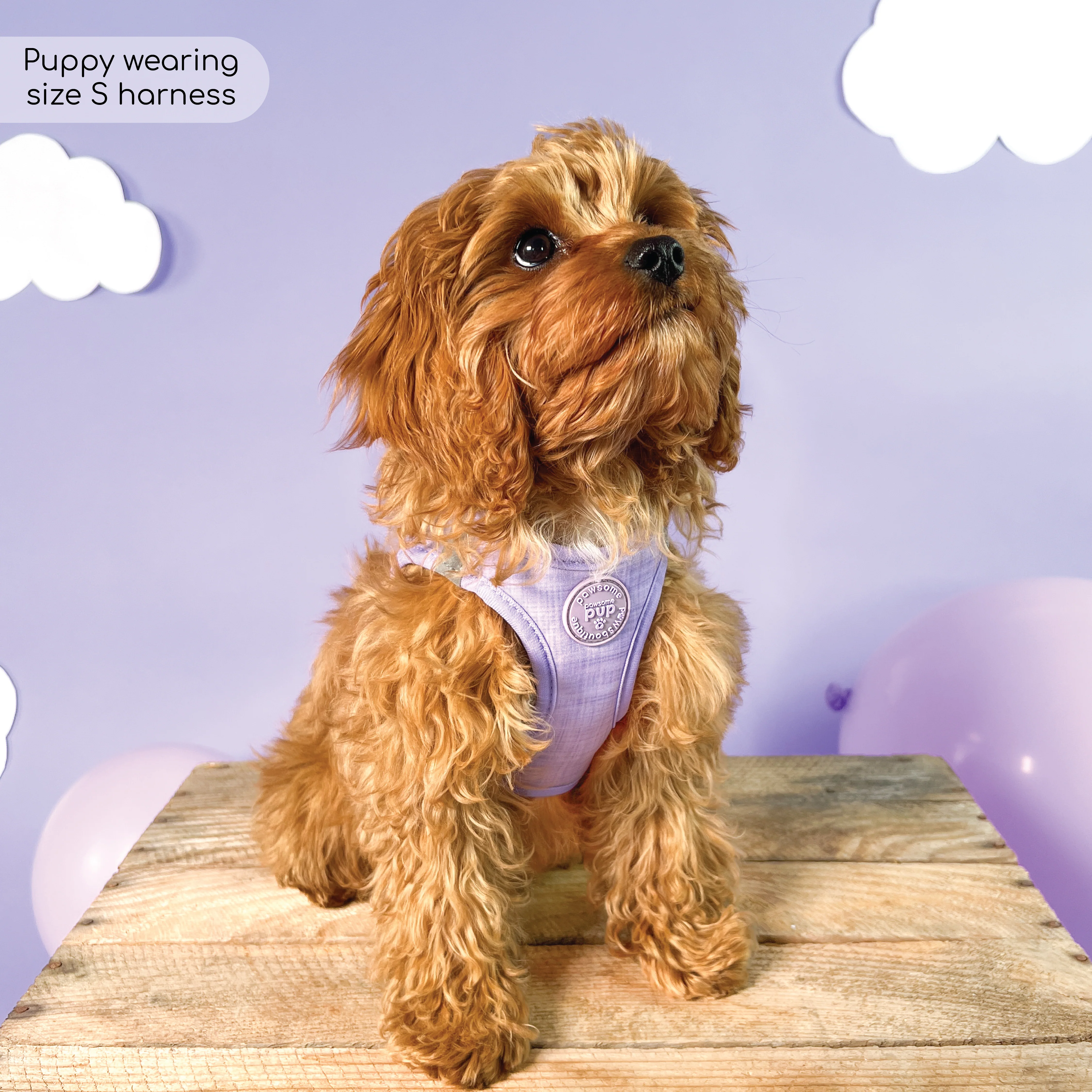 Pawsome Pup Harness - Lilac - Image 4
