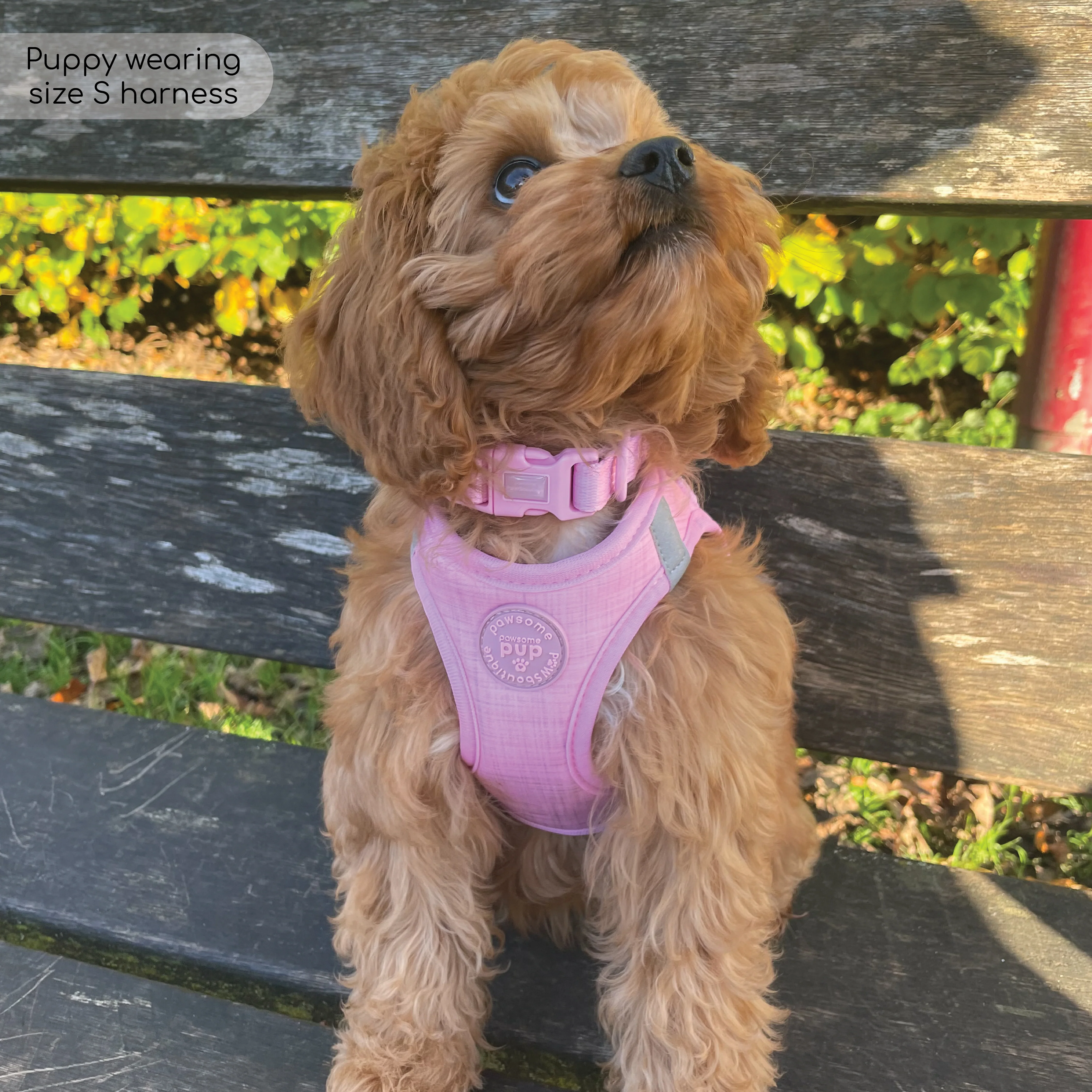 Pawsome Pup Harness - Pink - Image 4