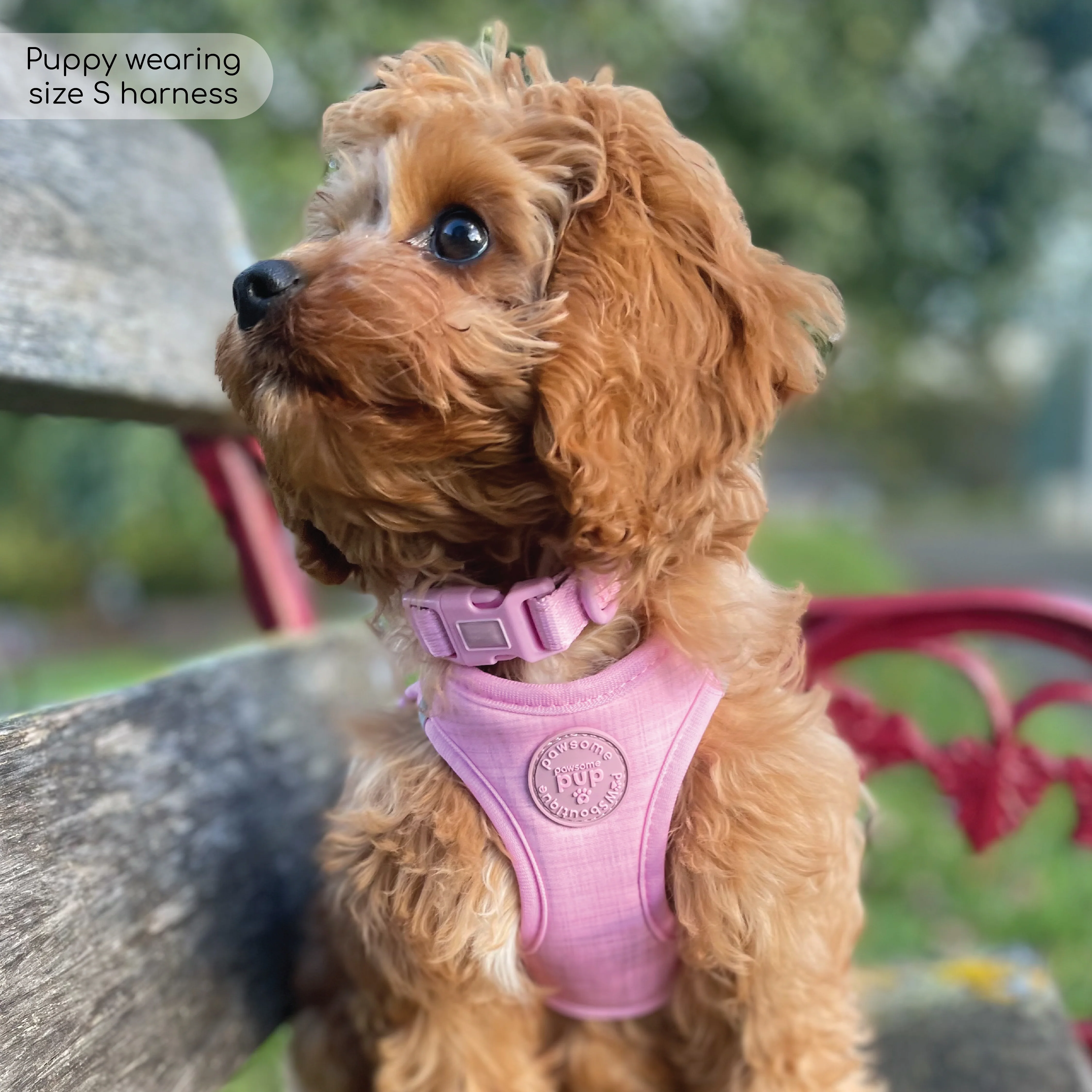 Pawsome Pup Harness - Pink - Image 6