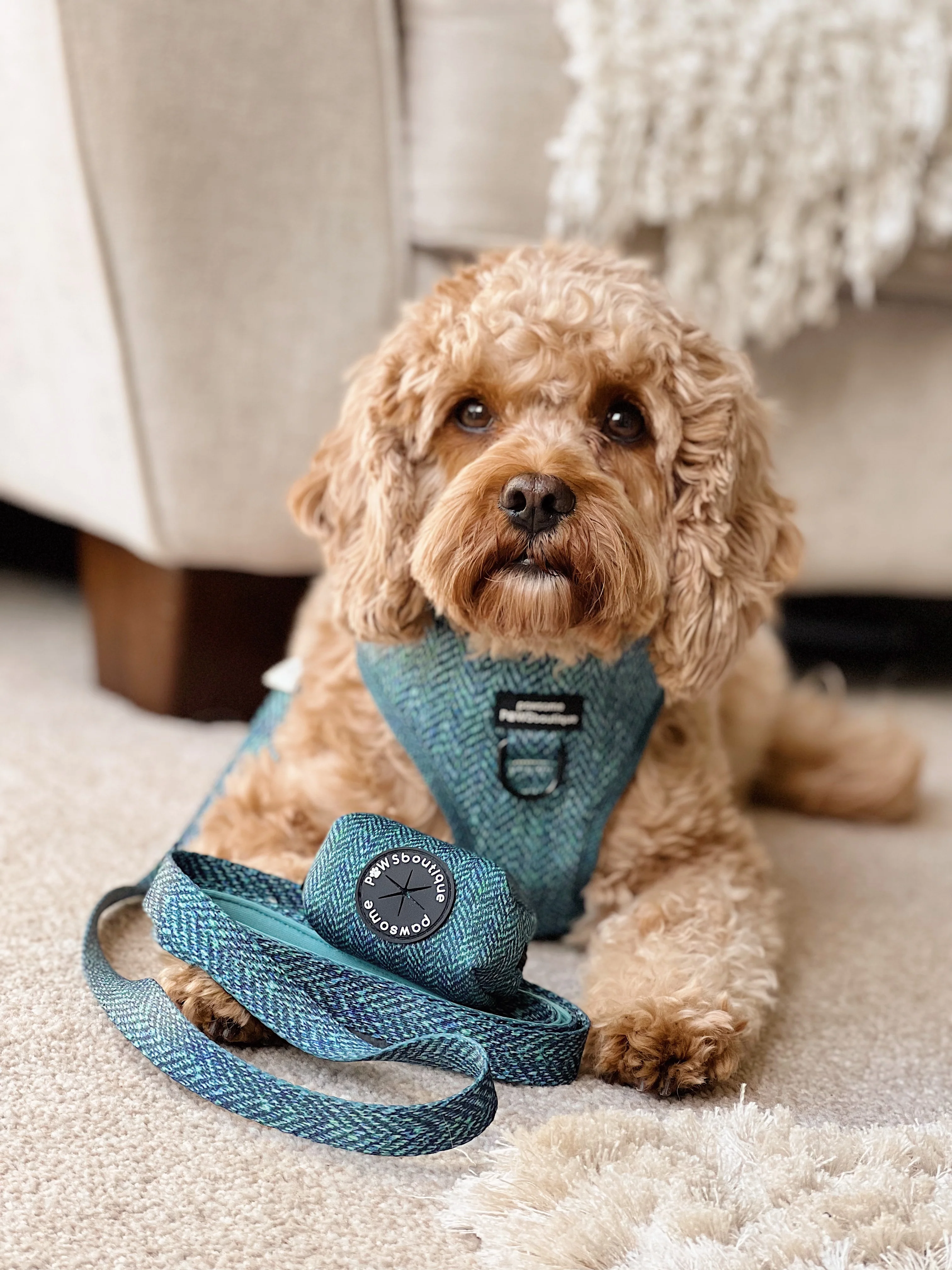 Poo Bag Holder - Country Teal - Image 5