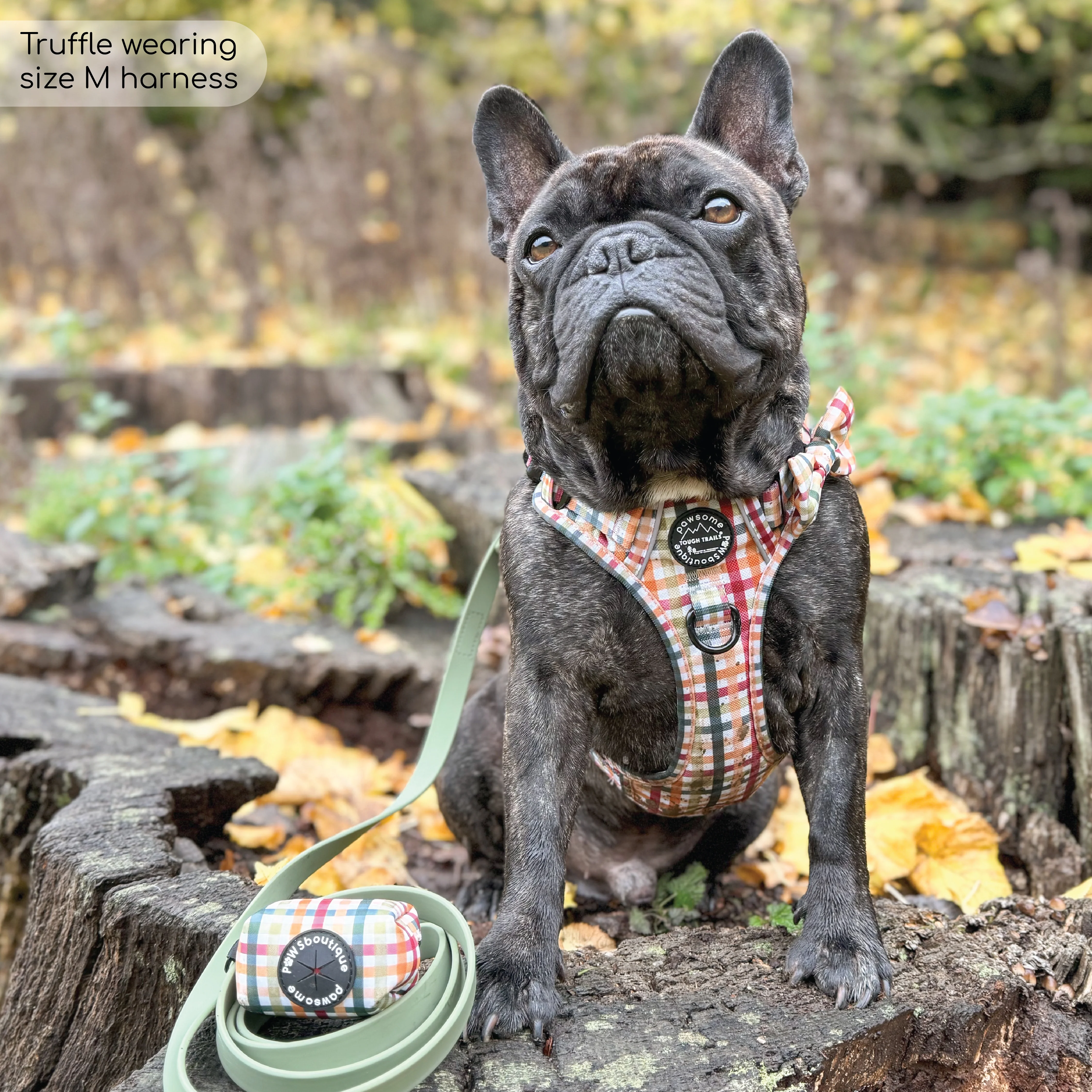 Poo Bag Holder - Plaid Pup - Image 4