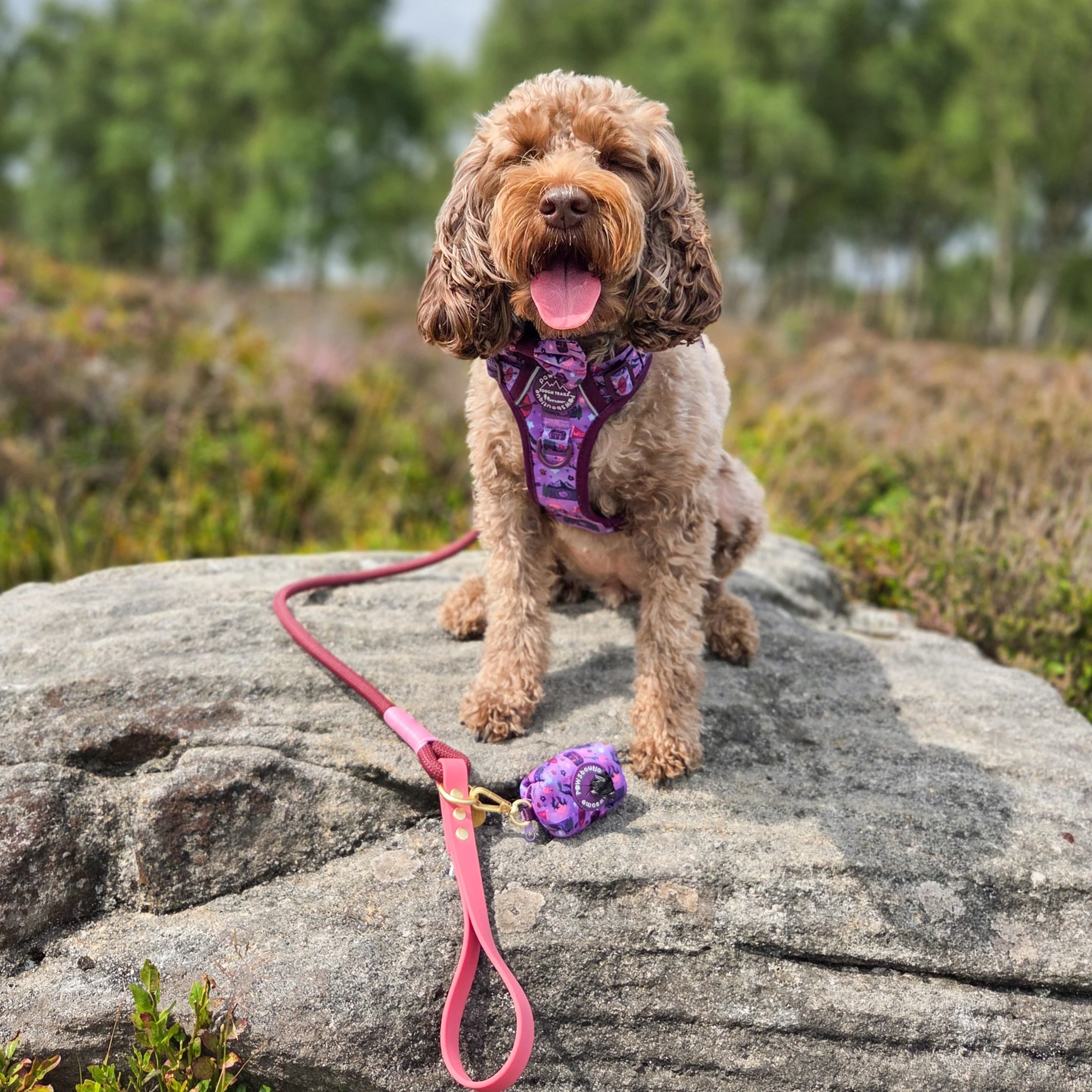 Poo Bag Holder - Roaming Wild - Image 11