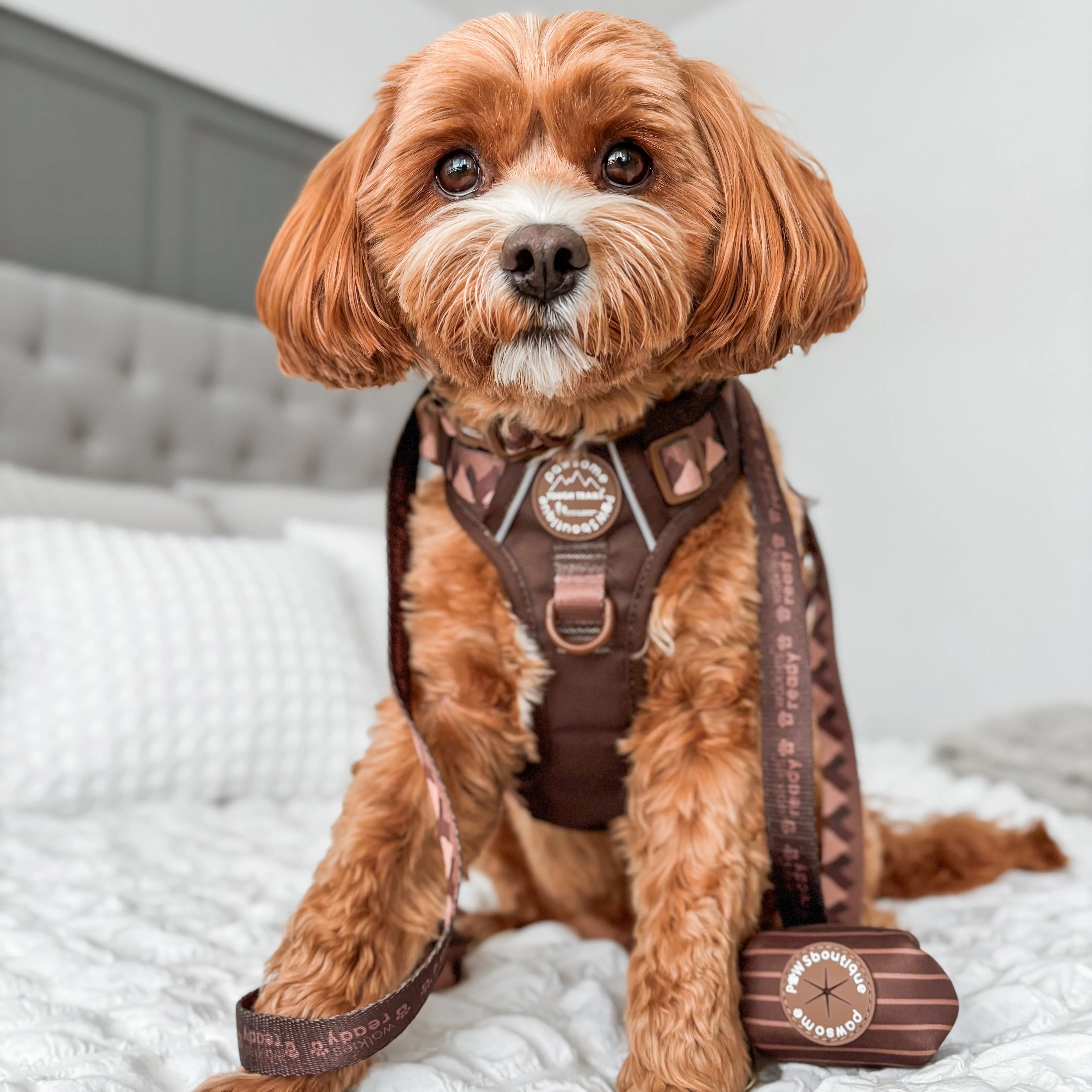 Poo Bag Holder - Walkies Ready® Chocolate Brown - Image 11
