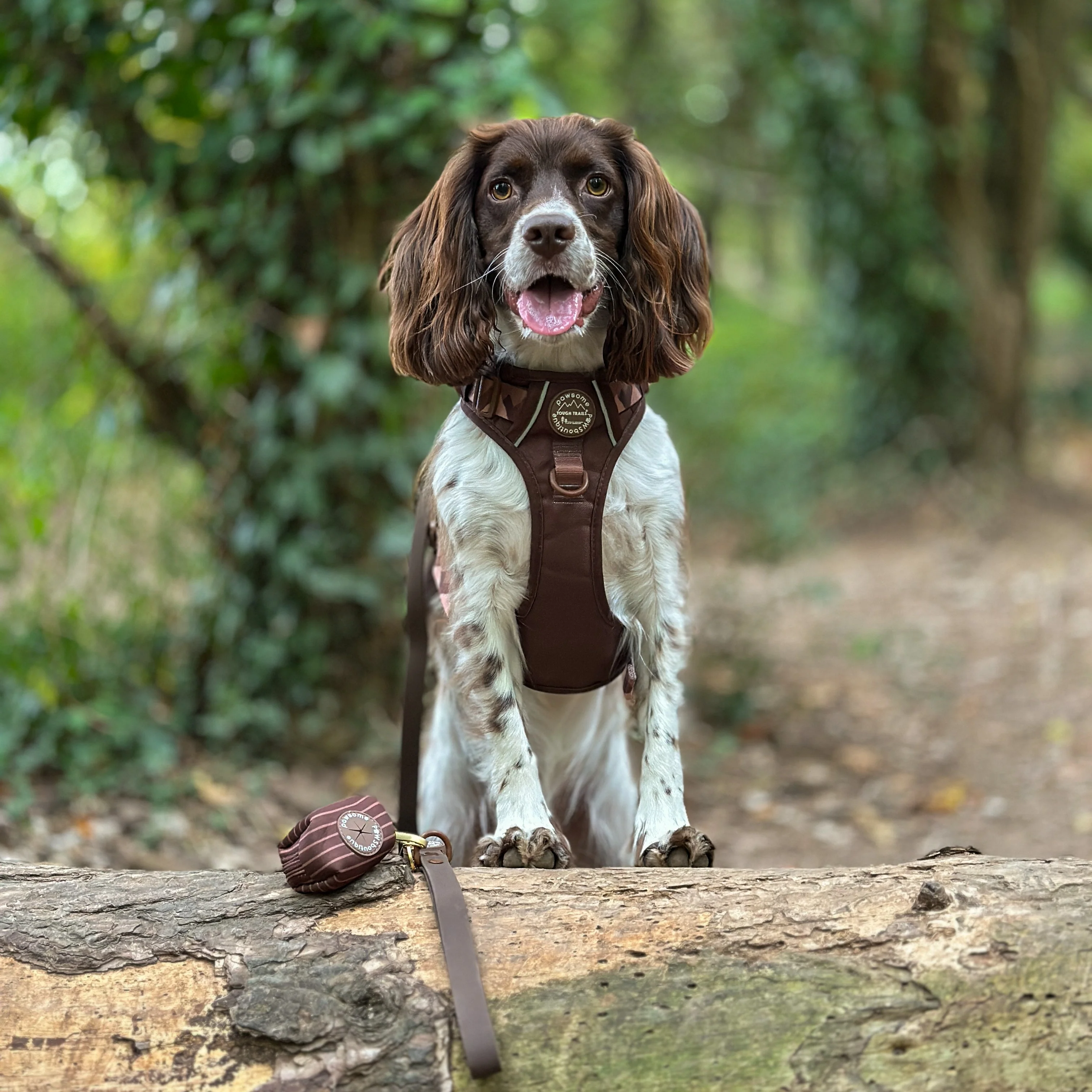 Poo Bag Holder - Walkies Ready® Chocolate Brown - Image 12
