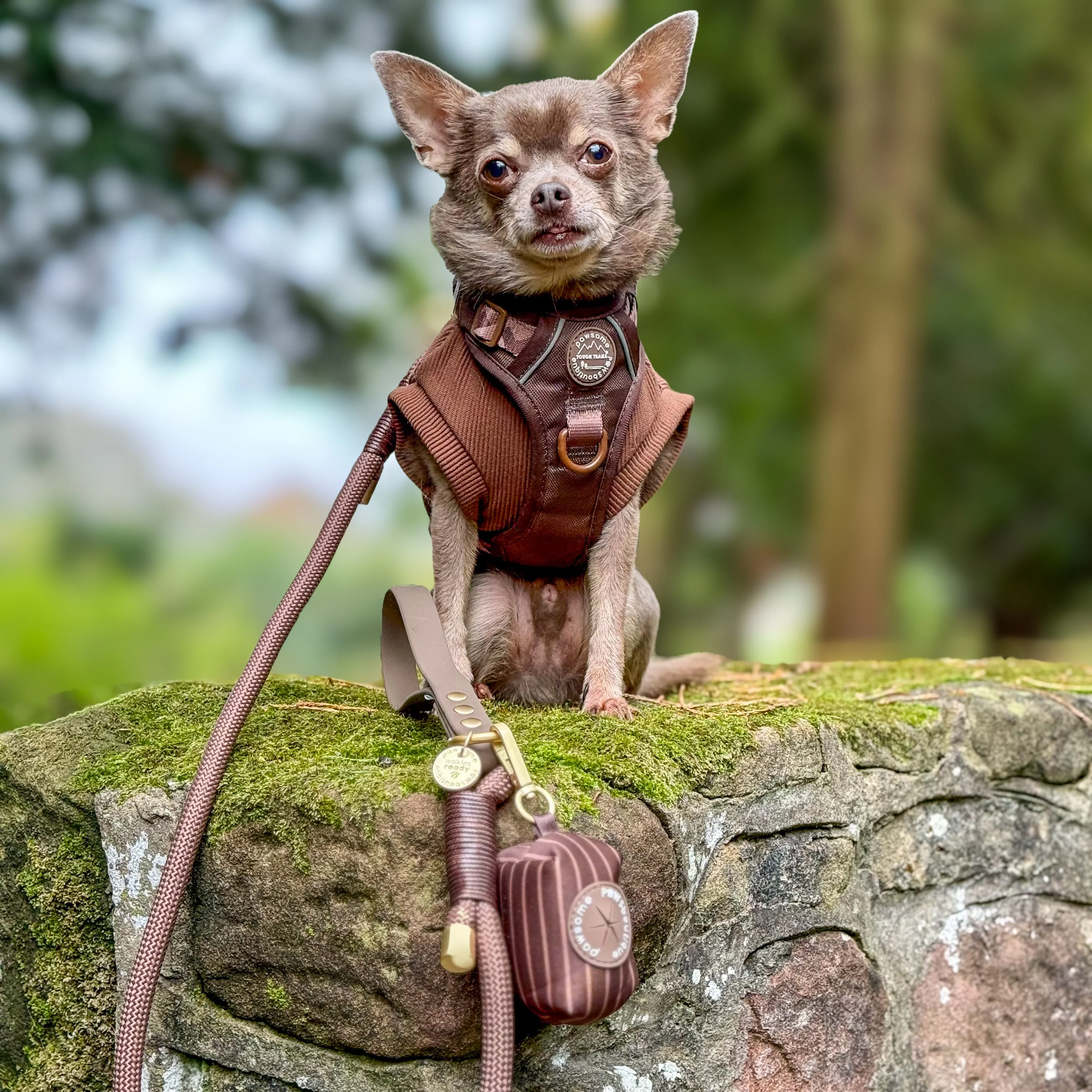 Poo Bag Holder - Walkies Ready® Chocolate Brown - Image 13