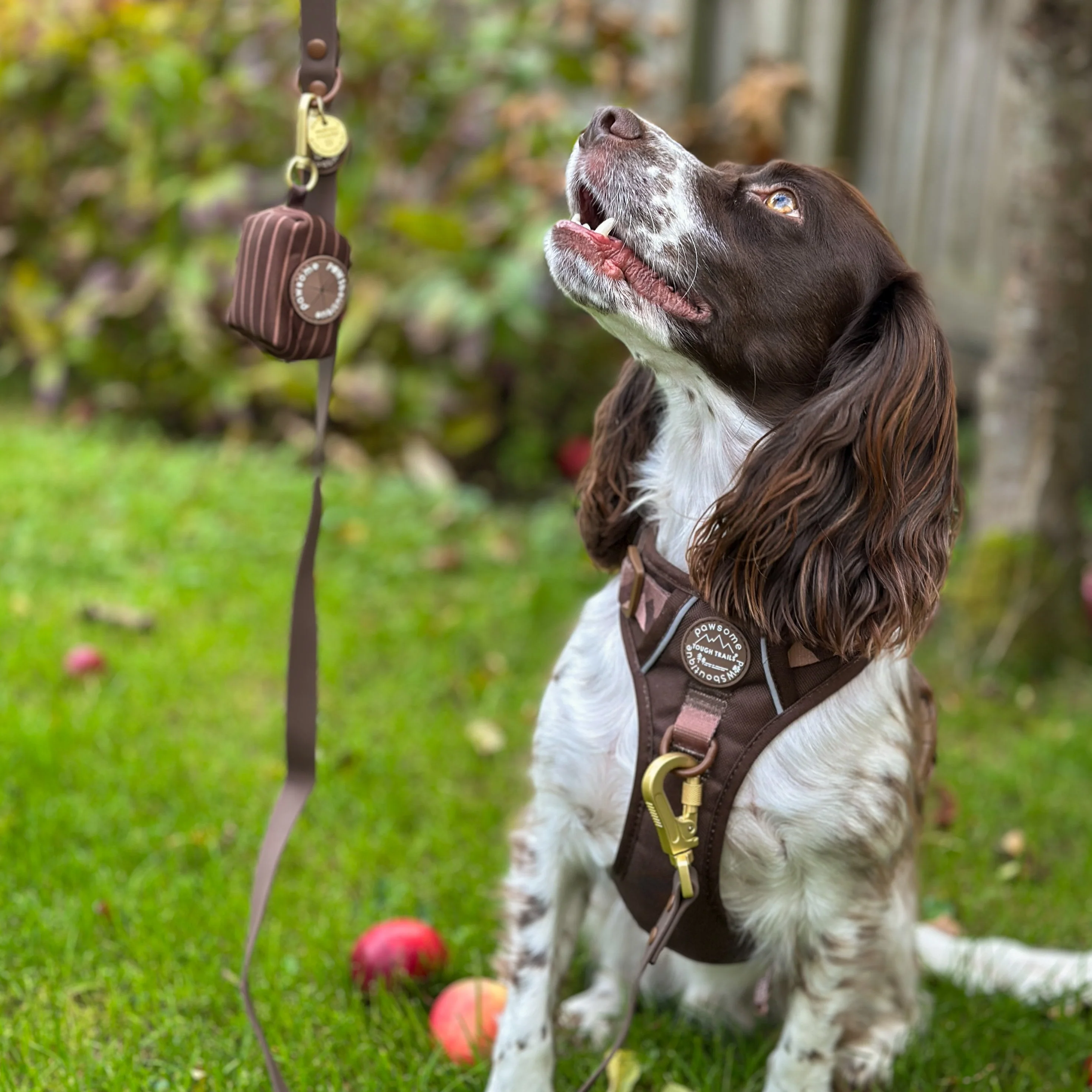 Poo Bag Holder - Walkies Ready® Chocolate Brown - Image 4