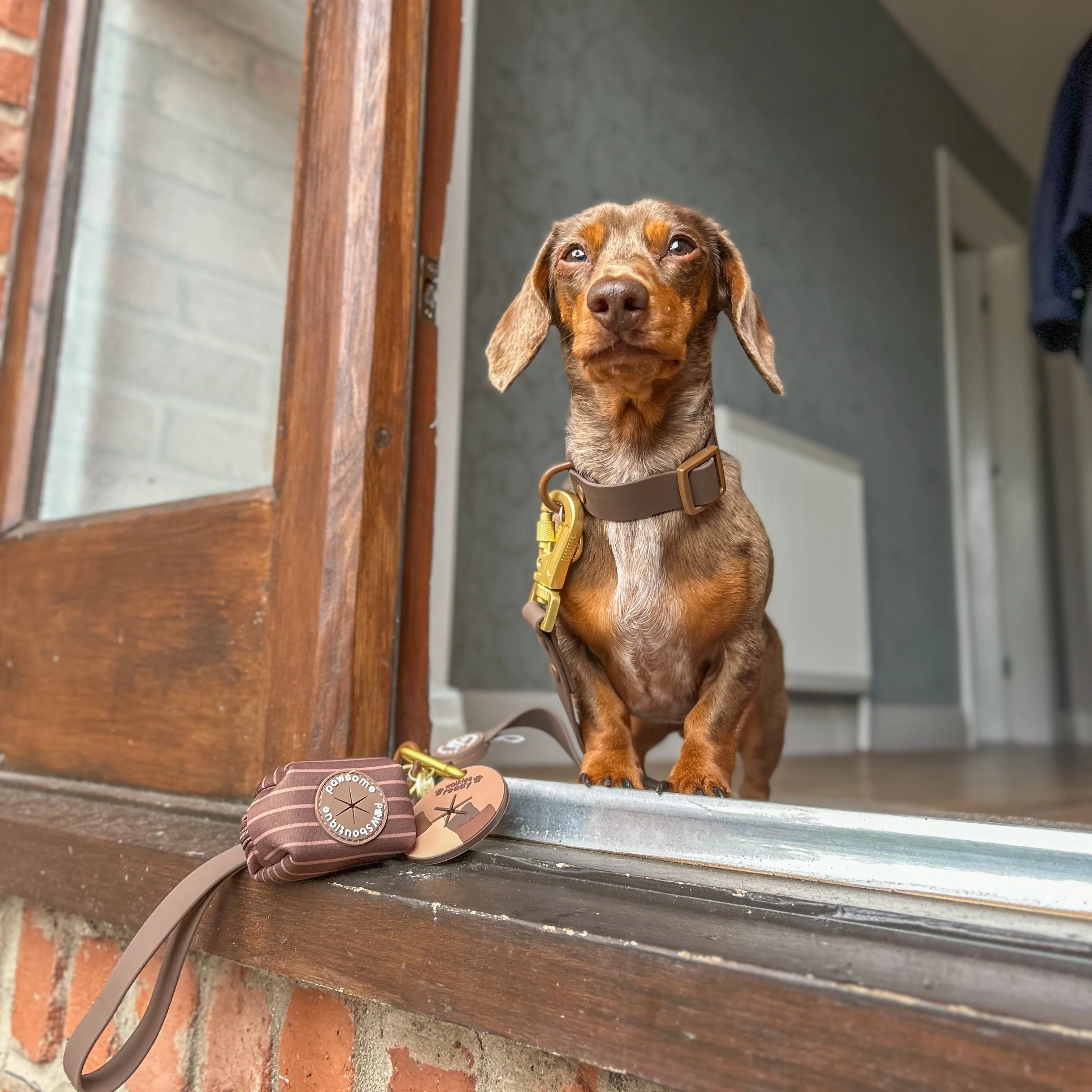 Poo Bag Holder - Walkies Ready® Chocolate Brown - Image 8