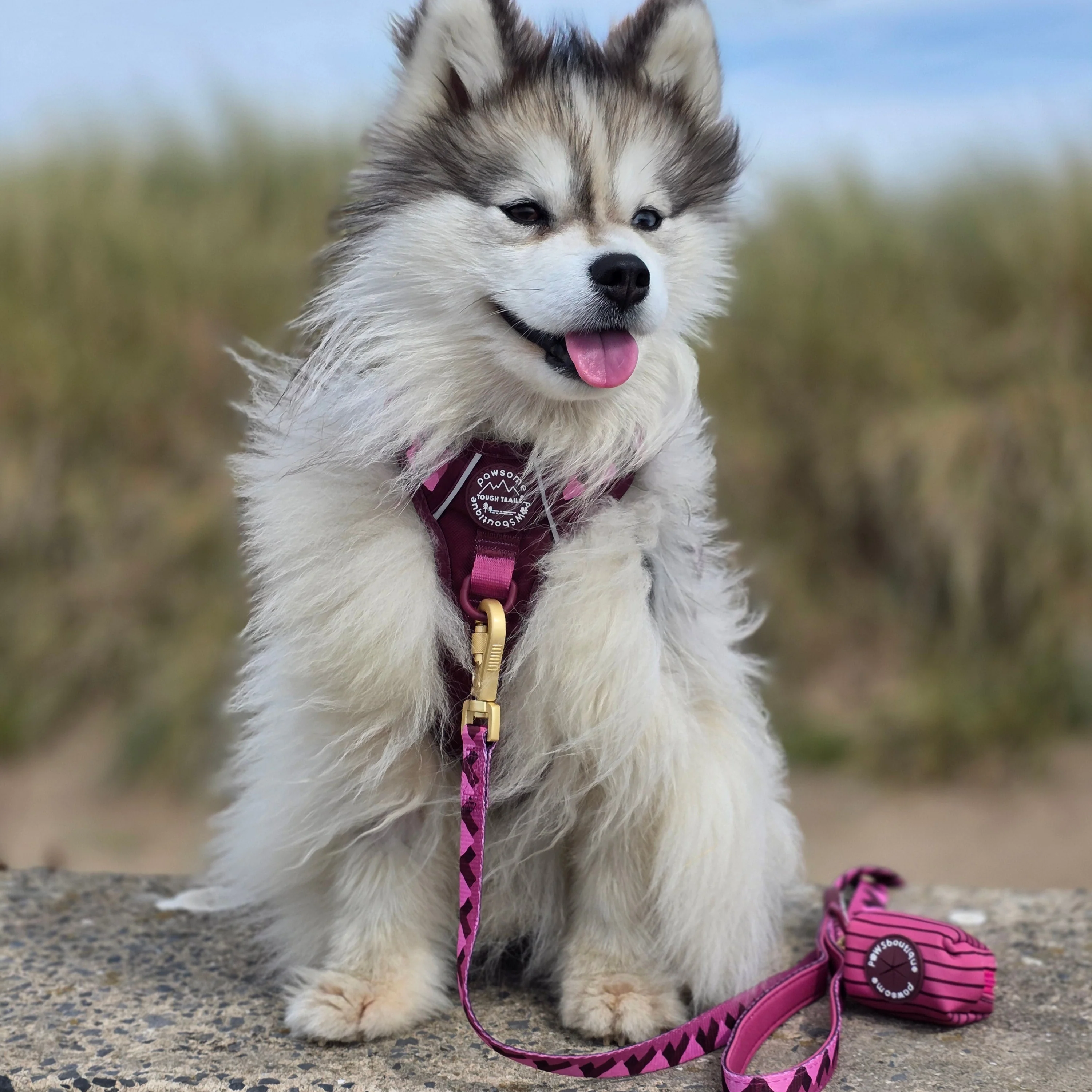 Poo Bag Holder - Walkies Ready® Mulberry - Image 5