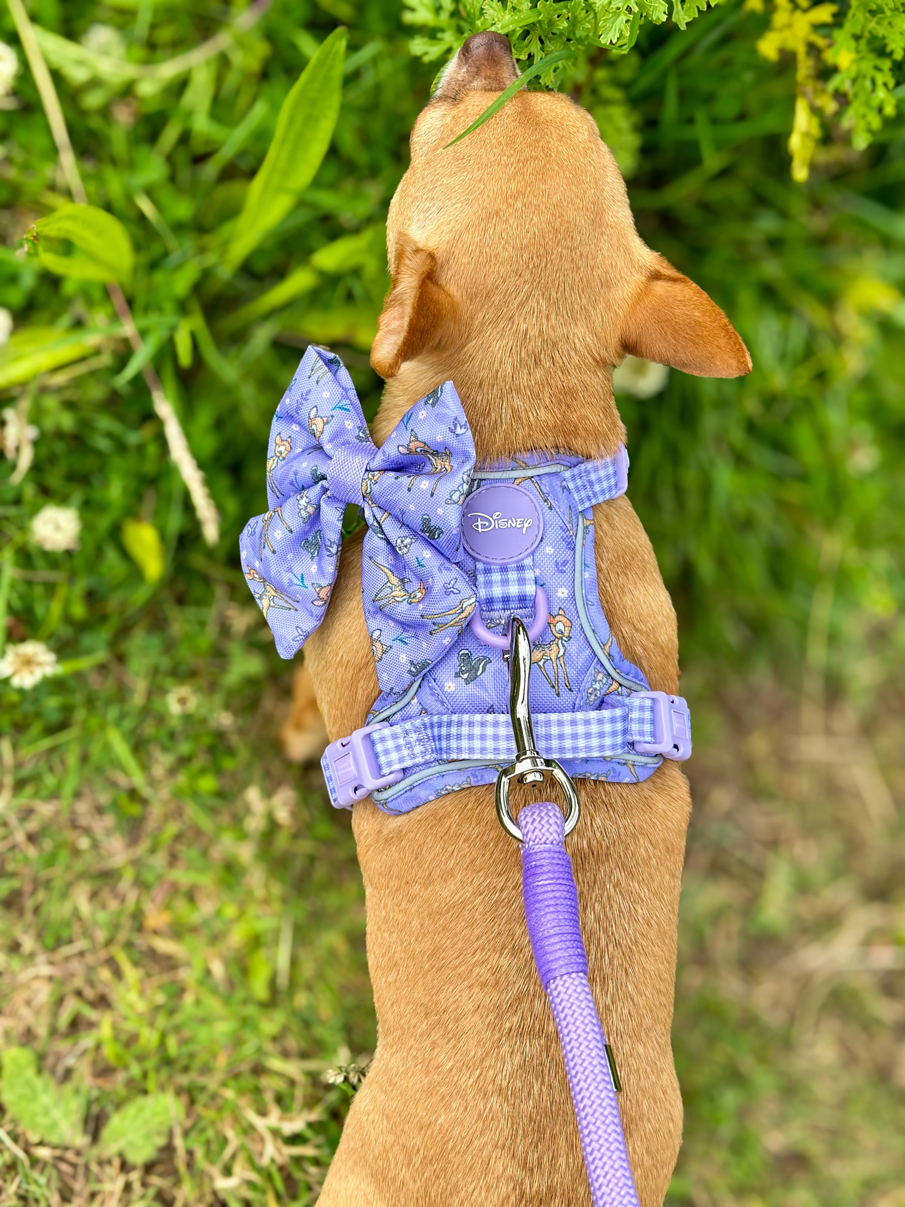 Disney© Sailor Bow Tie - Bambi + Friends Lilac - Image 4