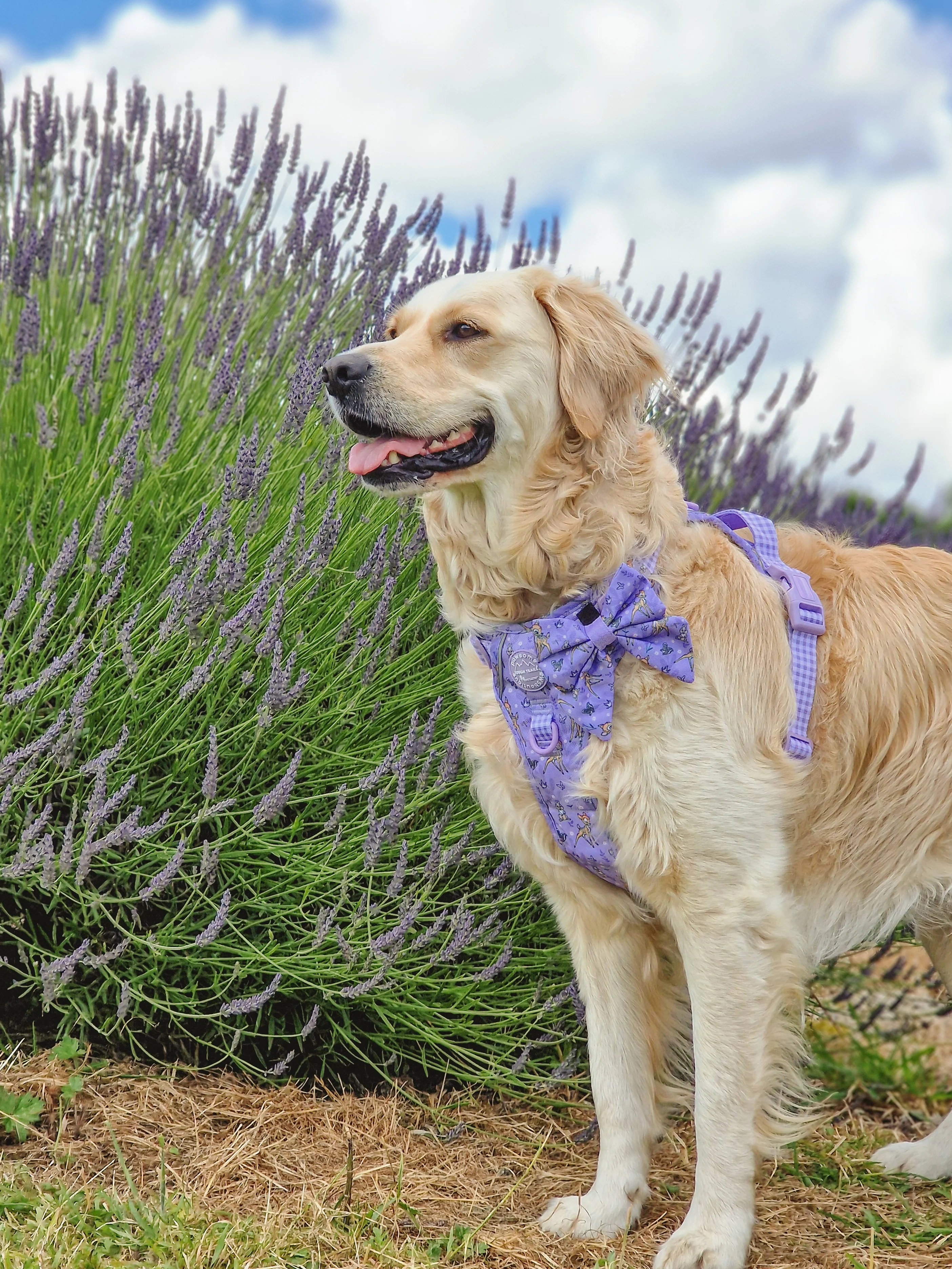 Disney© Sailor Bow Tie - Bambi + Friends Lilac - Image 9