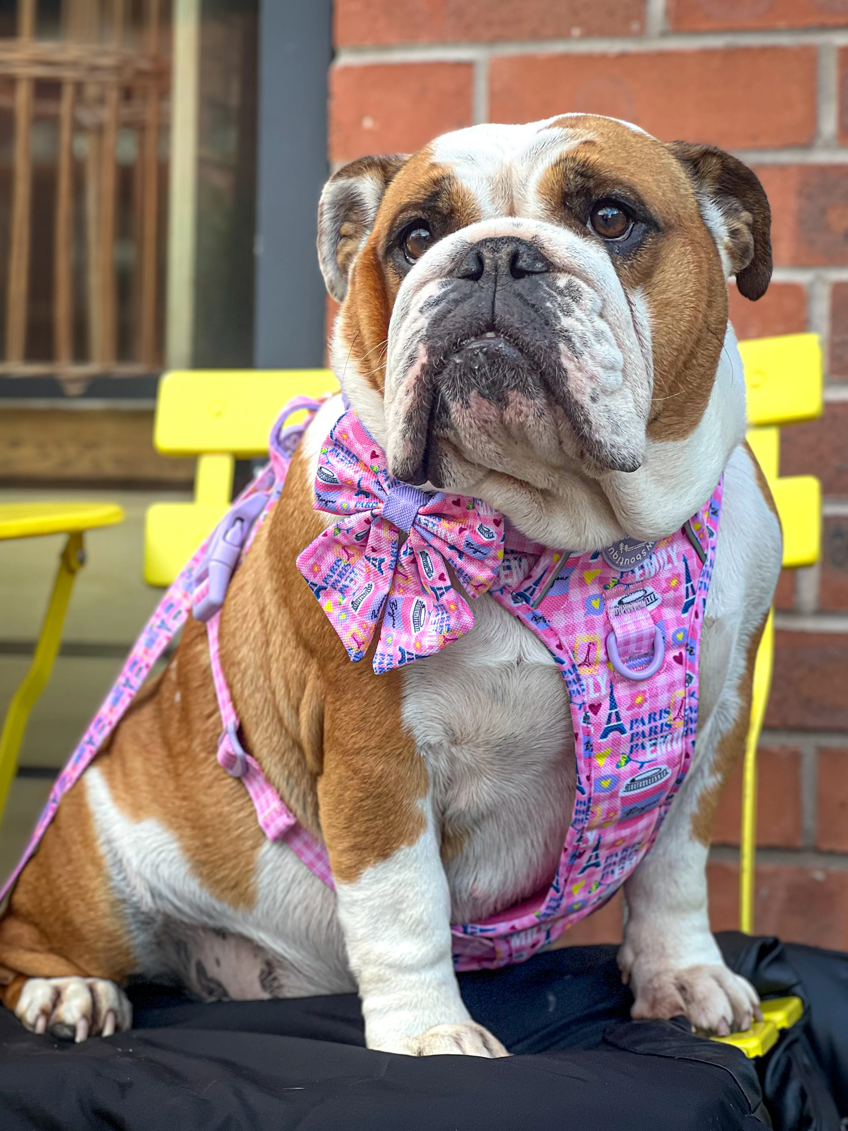 Sailor Bow Tie - Emily In Paris - Image 6