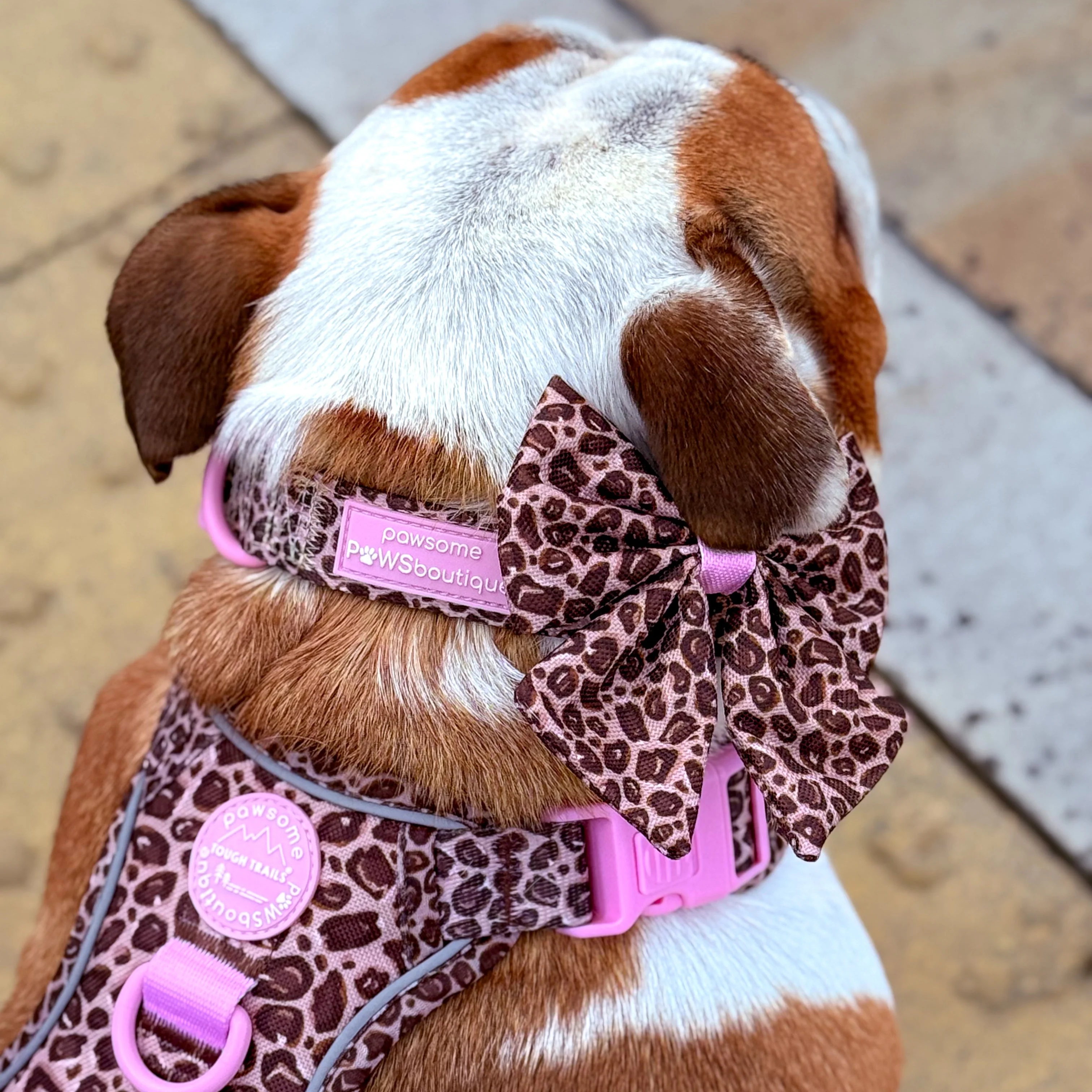 Sailor Bow - Leopard Print - Image 14