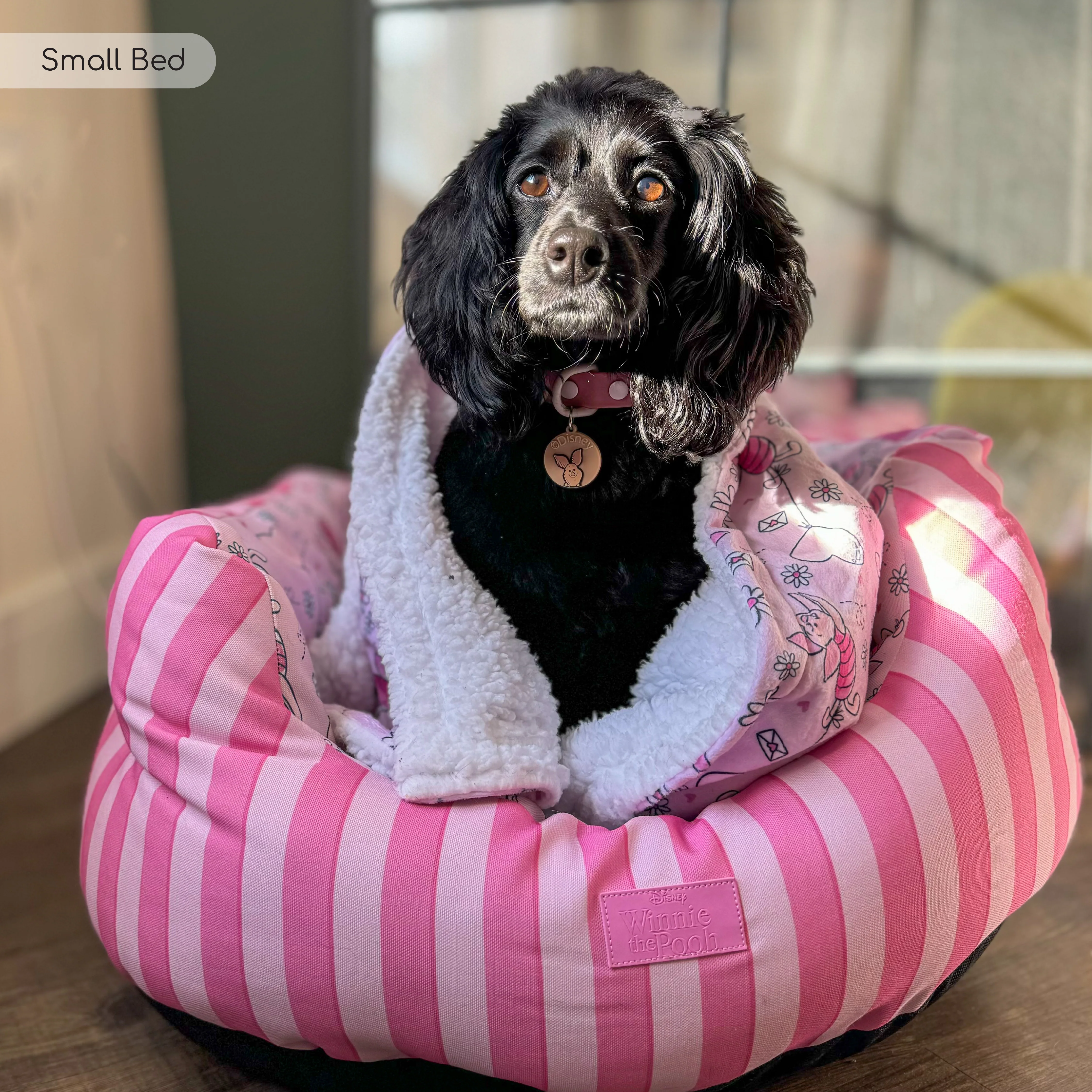 Disney© Dog Bed - Piglet - Image 14