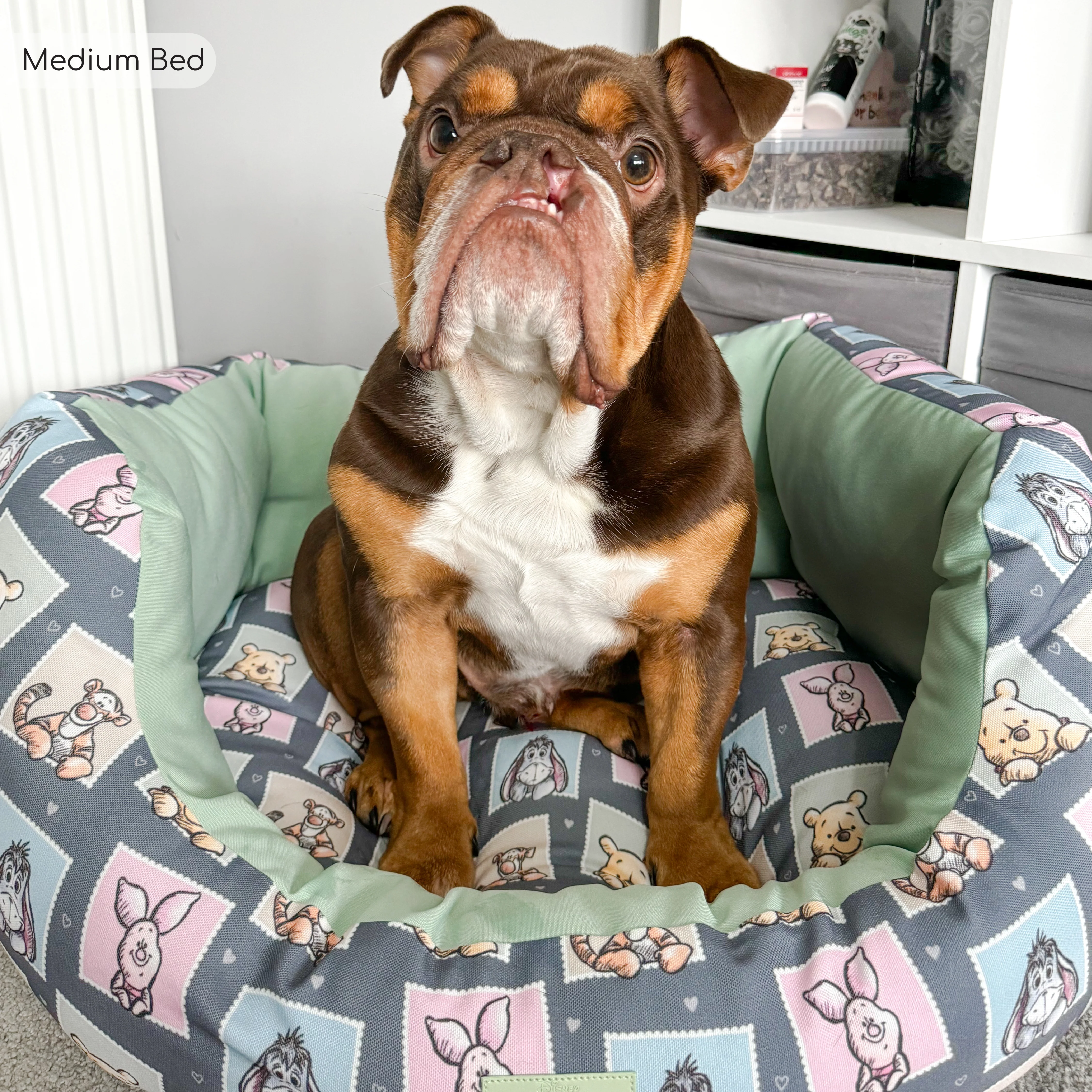 Disney© Dog Bed - Winnie + Friends - Image 8