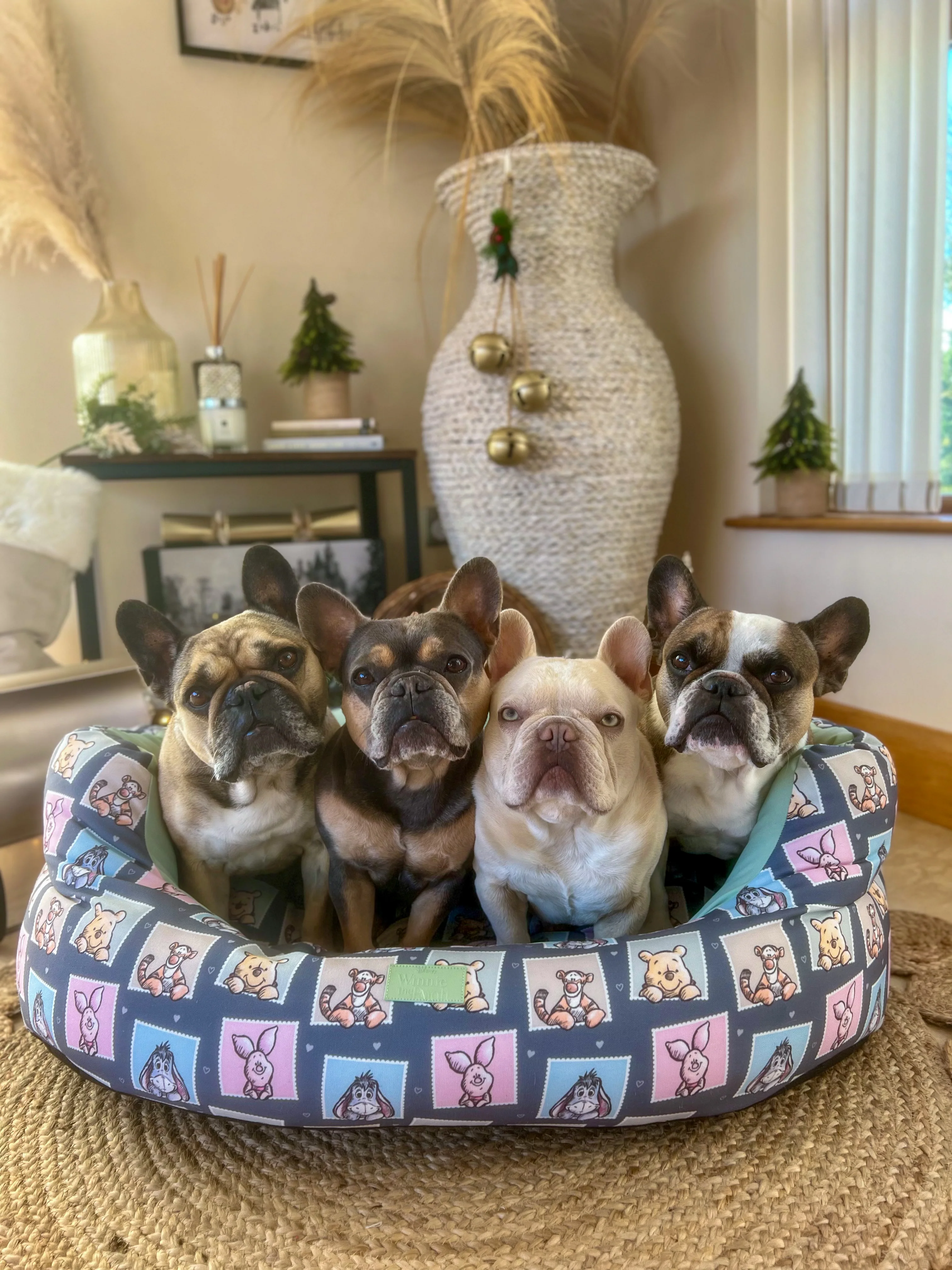 Disney© Dog Bed - Winnie + Friends - Image 21