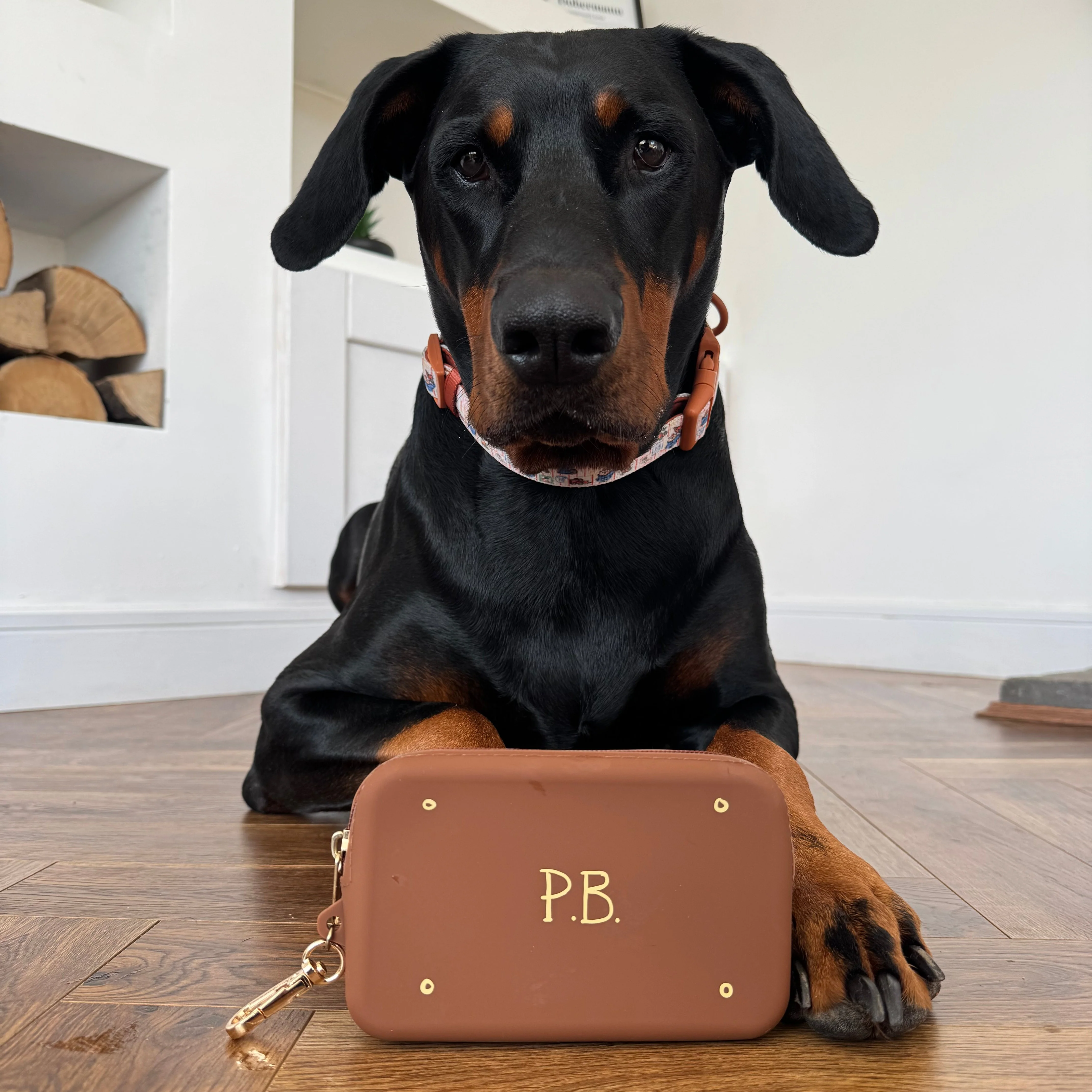 Silicone Treat Pouch - Paddington™ Suitcase - Image 7