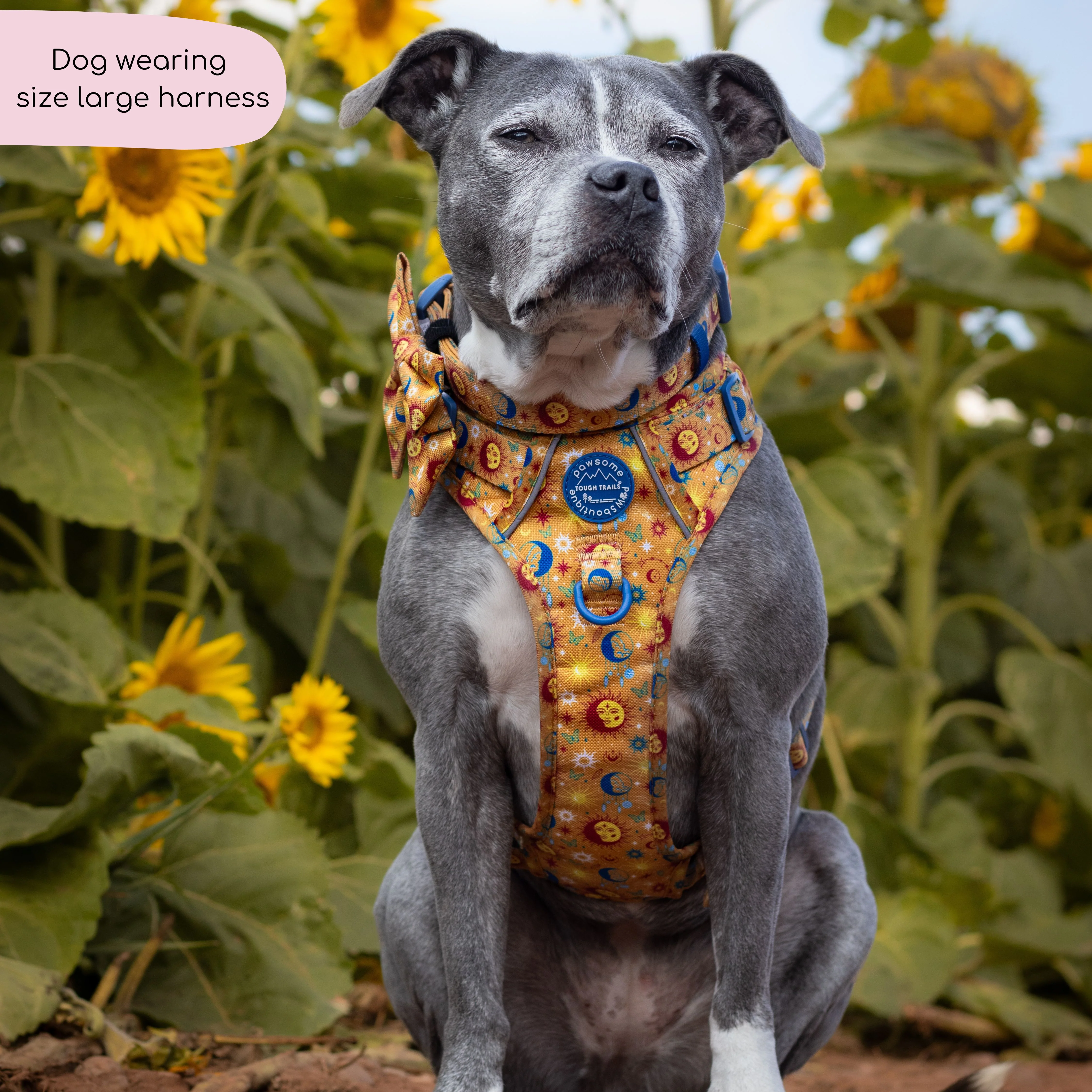 Tough Trails™ Harness - Celestial Spirit - Image 9