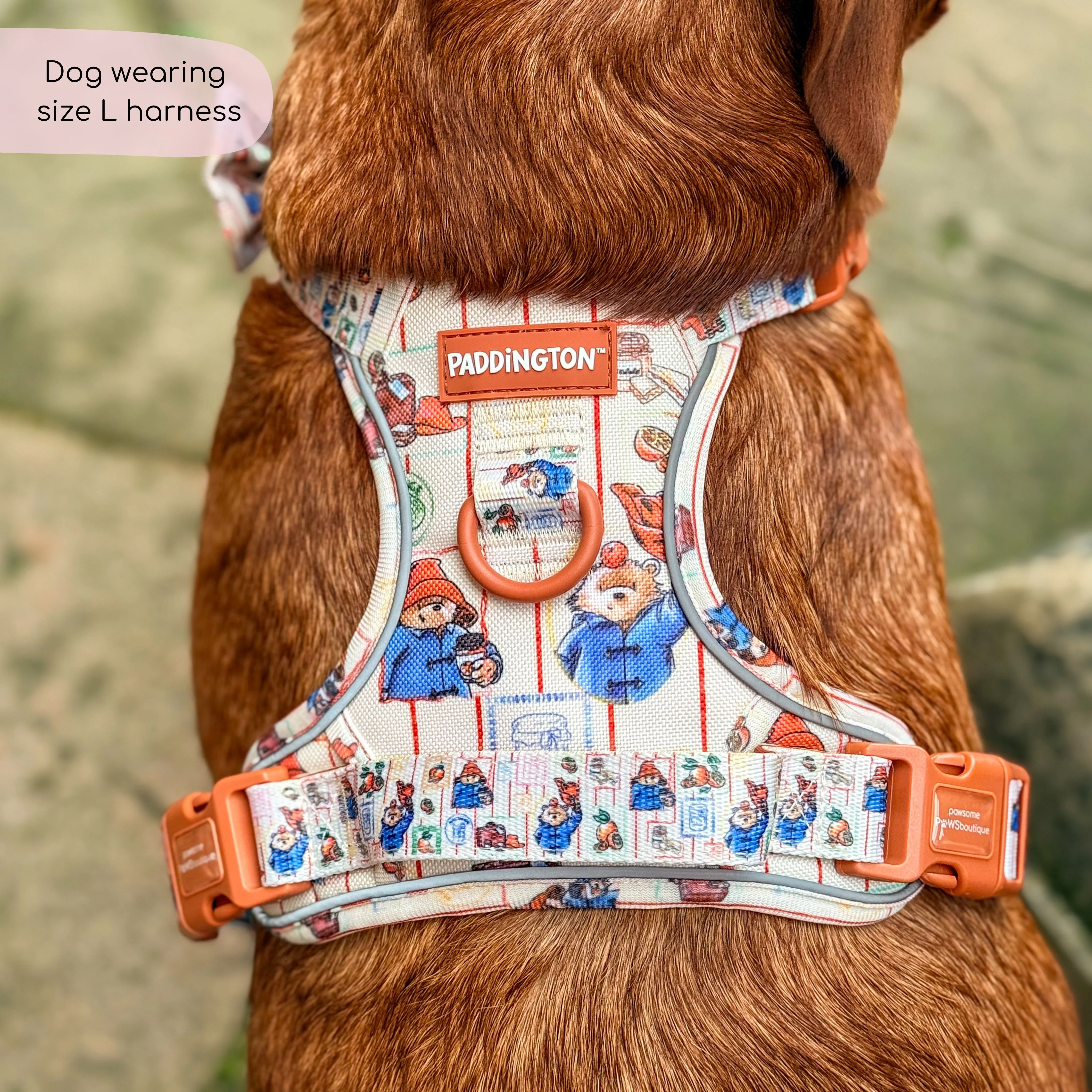 Paddingtonâ„¢ Tough Trailsâ„¢ Harness - Peckish Paddington - Image 10
