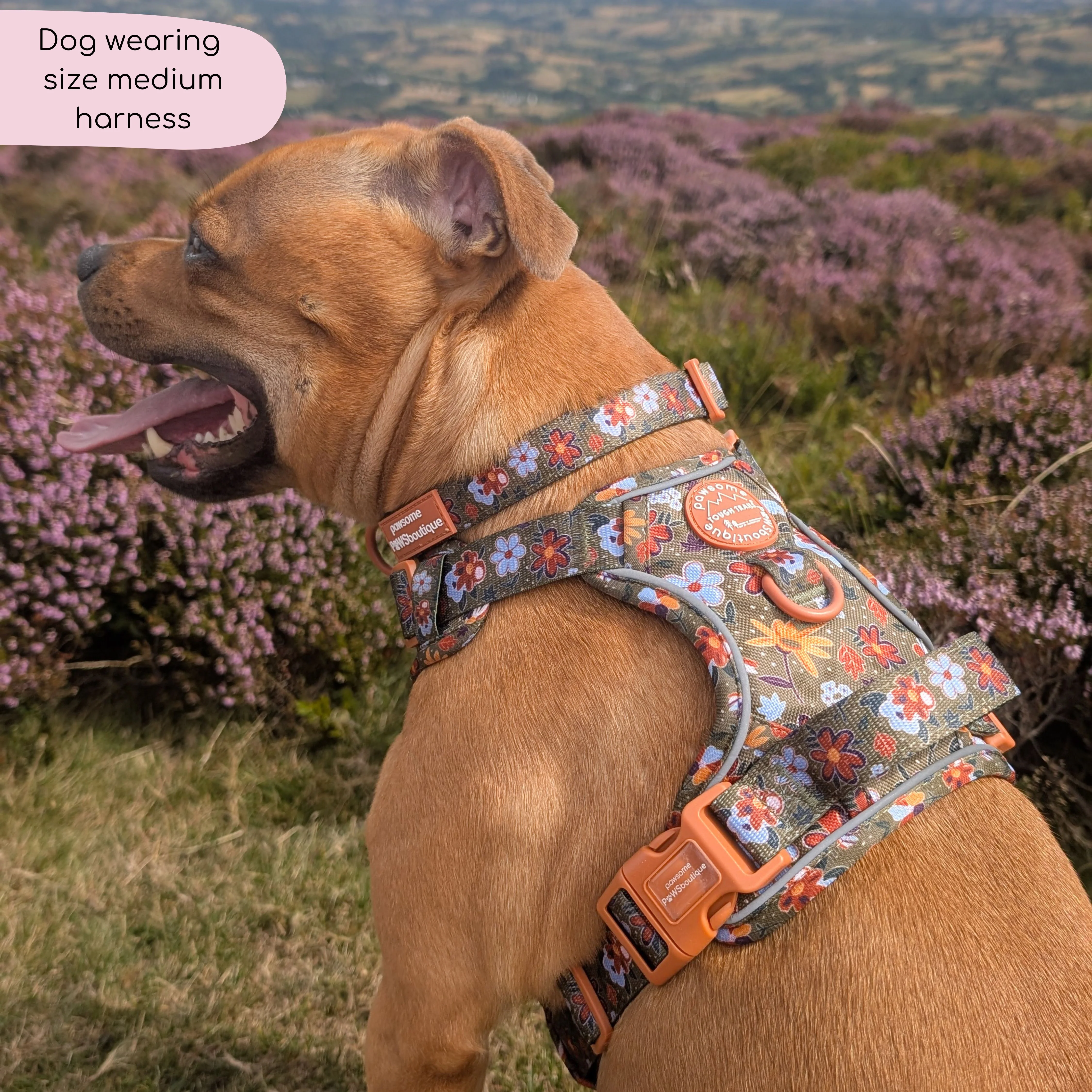 Tough Trails⢠Harness - Rust & Bloom - Image 14