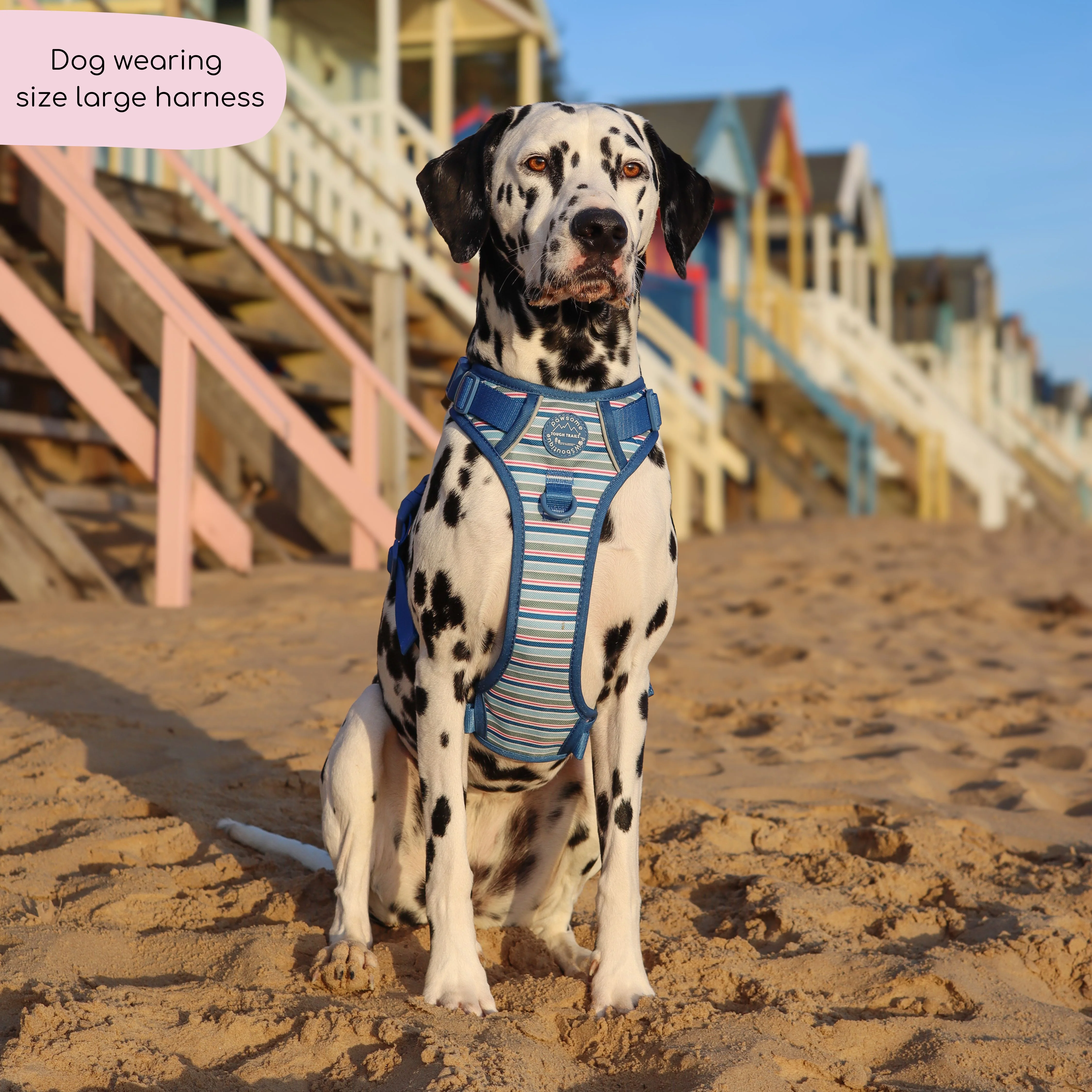 Tough Trails⢠Harness - Sailor Stripes - Image 10