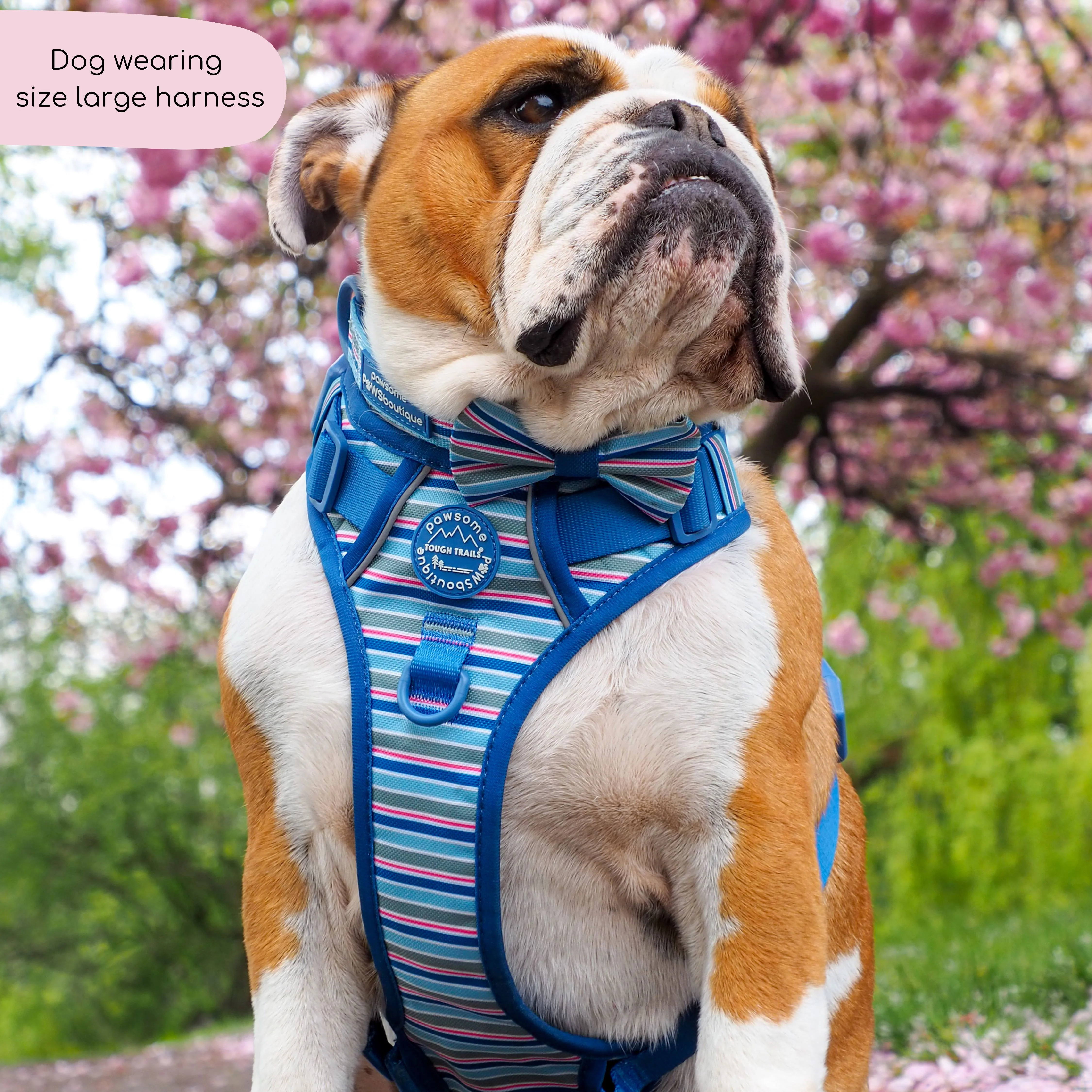 Tough Trails⢠Harness - Sailor Stripes - Image 6