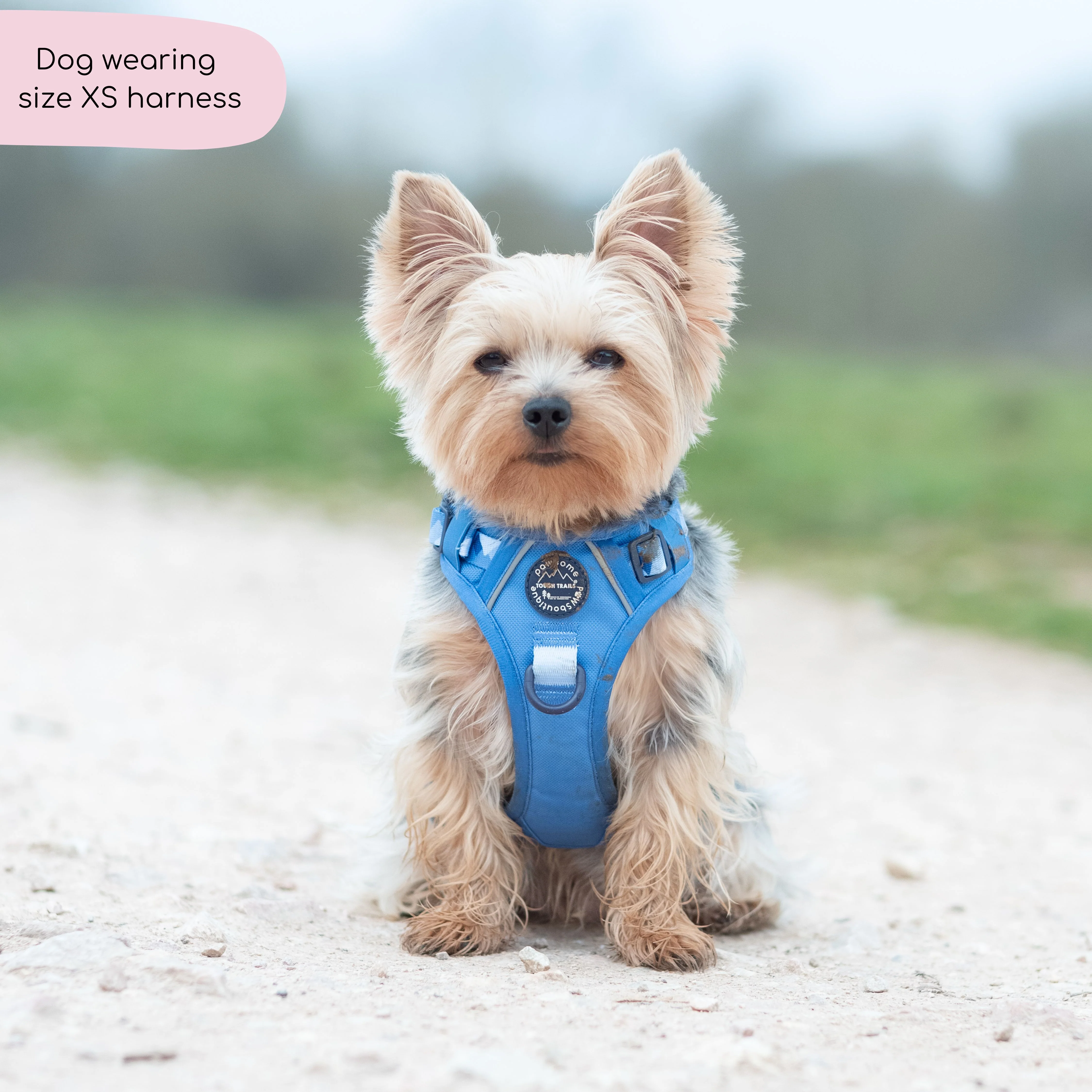 Tough Trails™ Harness - Walkies Ready® Cornflower Blue - Image 11