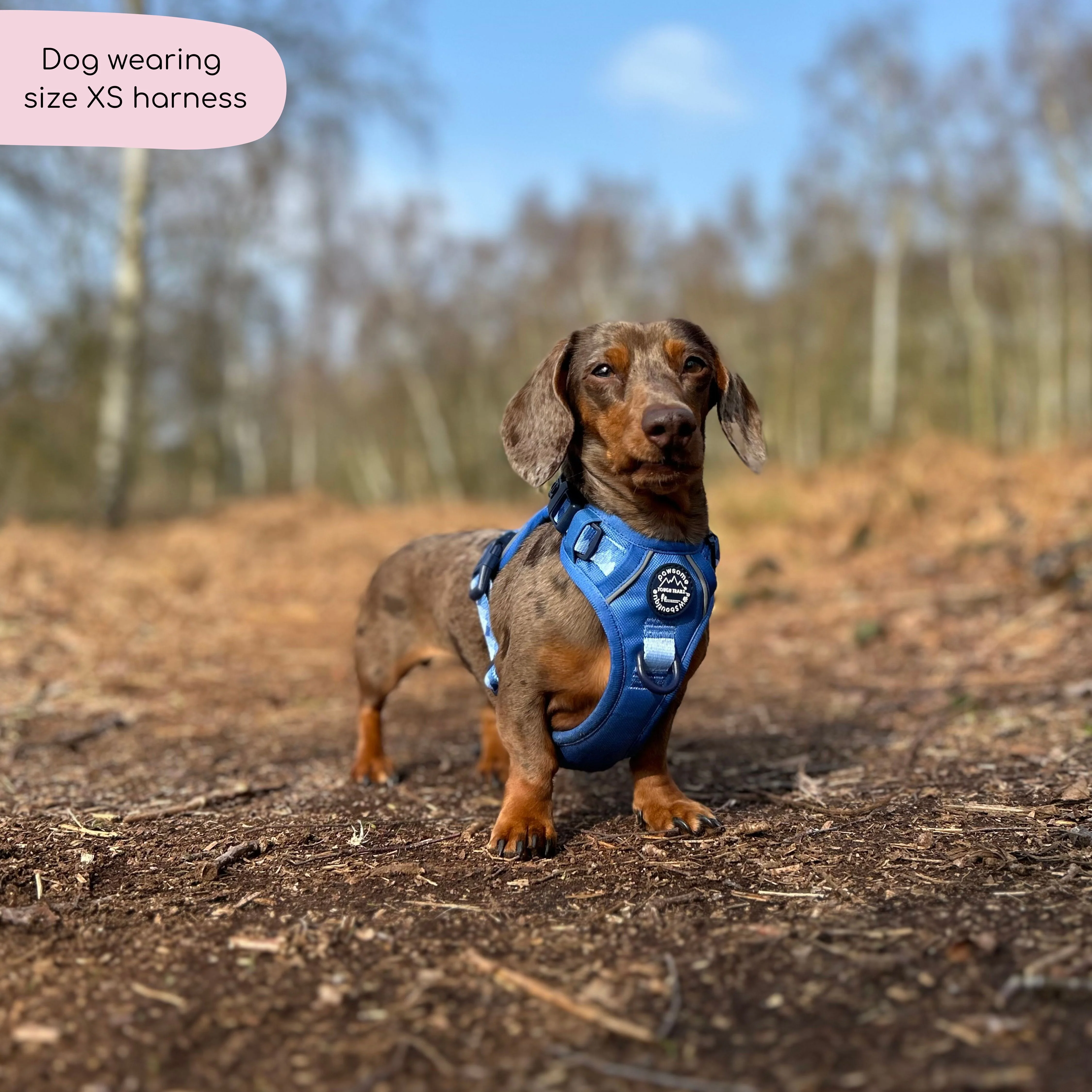 Tough Trails™ Harness - Walkies Ready® Cornflower Blue - Image 12