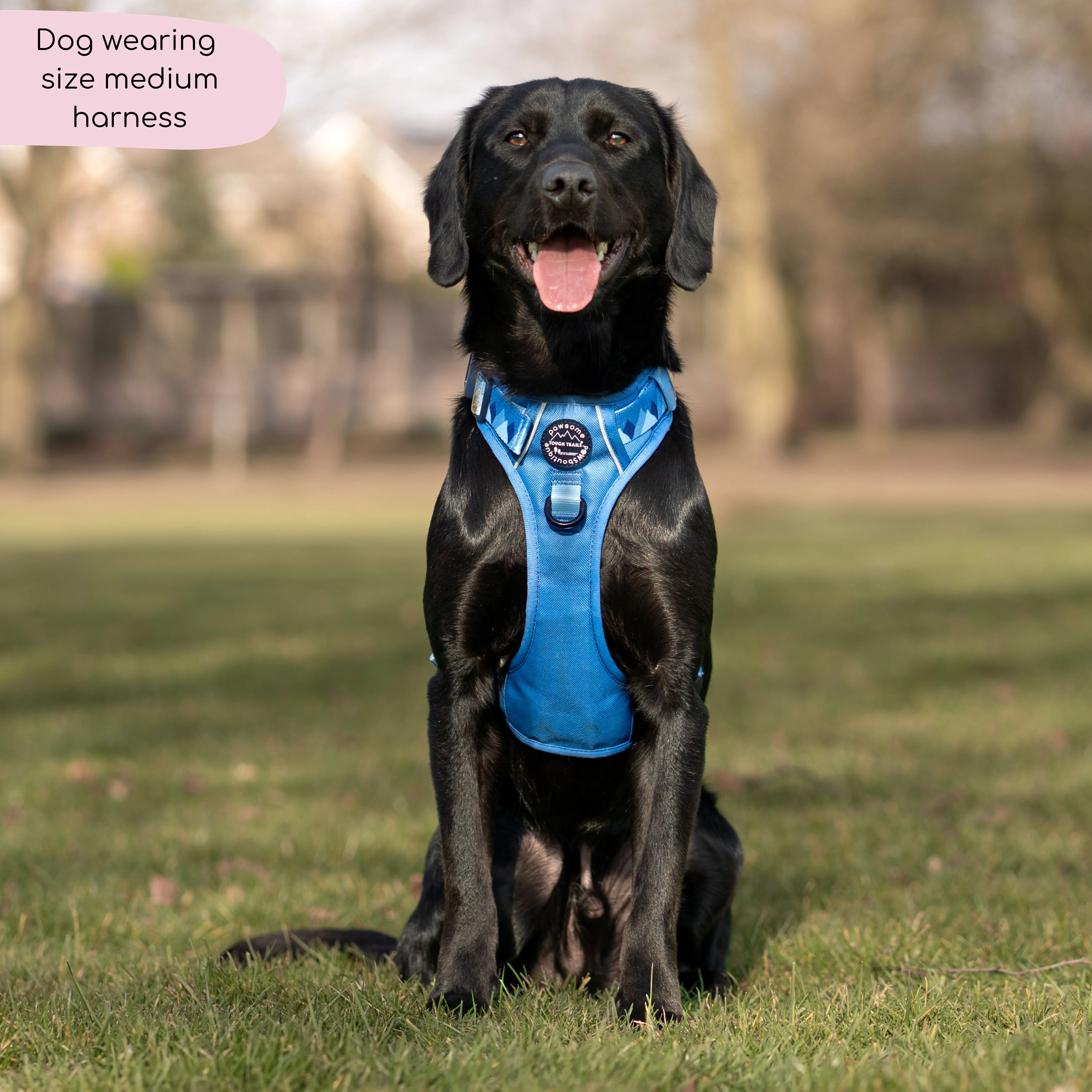 Tough Trails™ Harness - Walkies Ready® Cornflower Blue - Image 15
