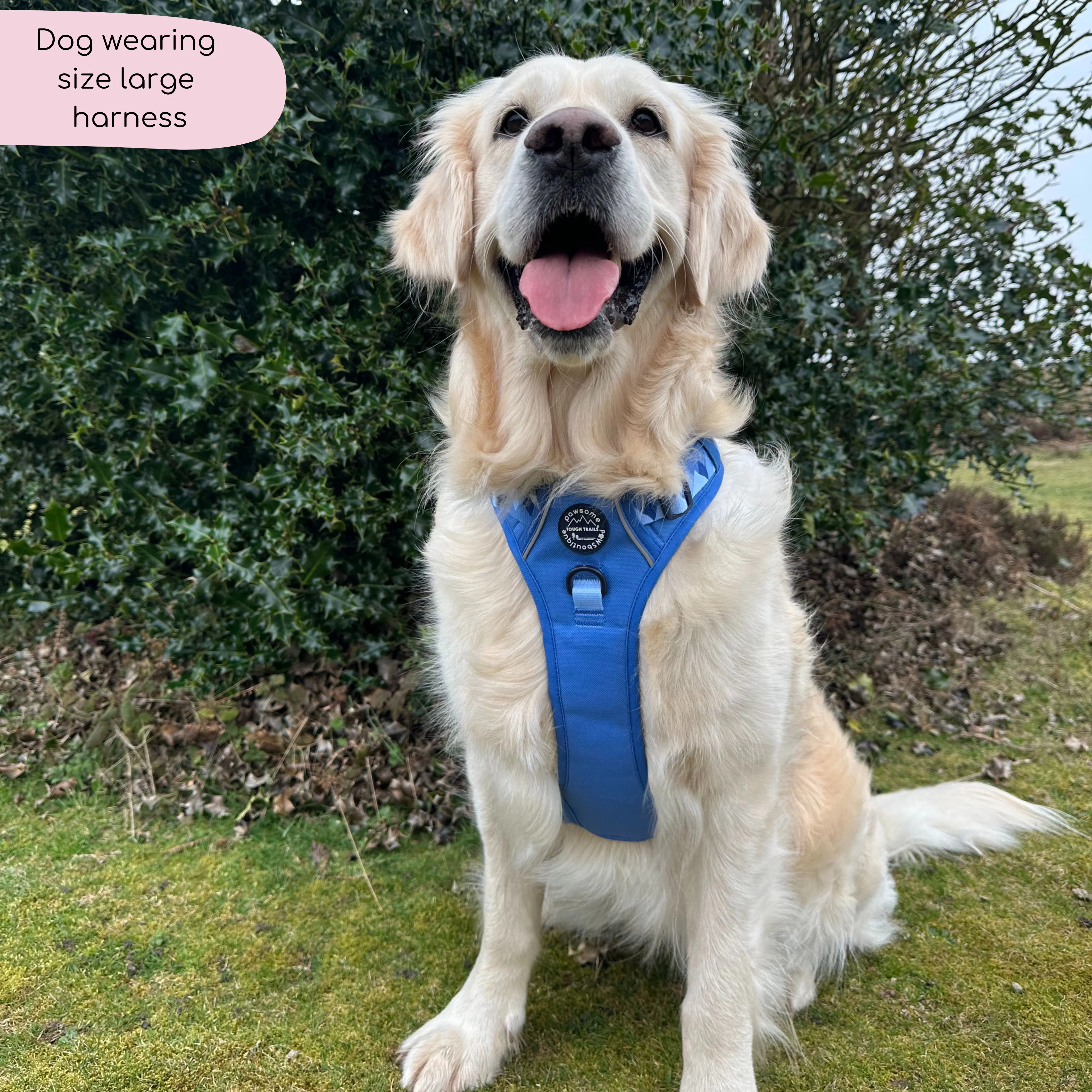 Tough Trails™ Harness - Walkies Ready® Cornflower Blue - Image 17