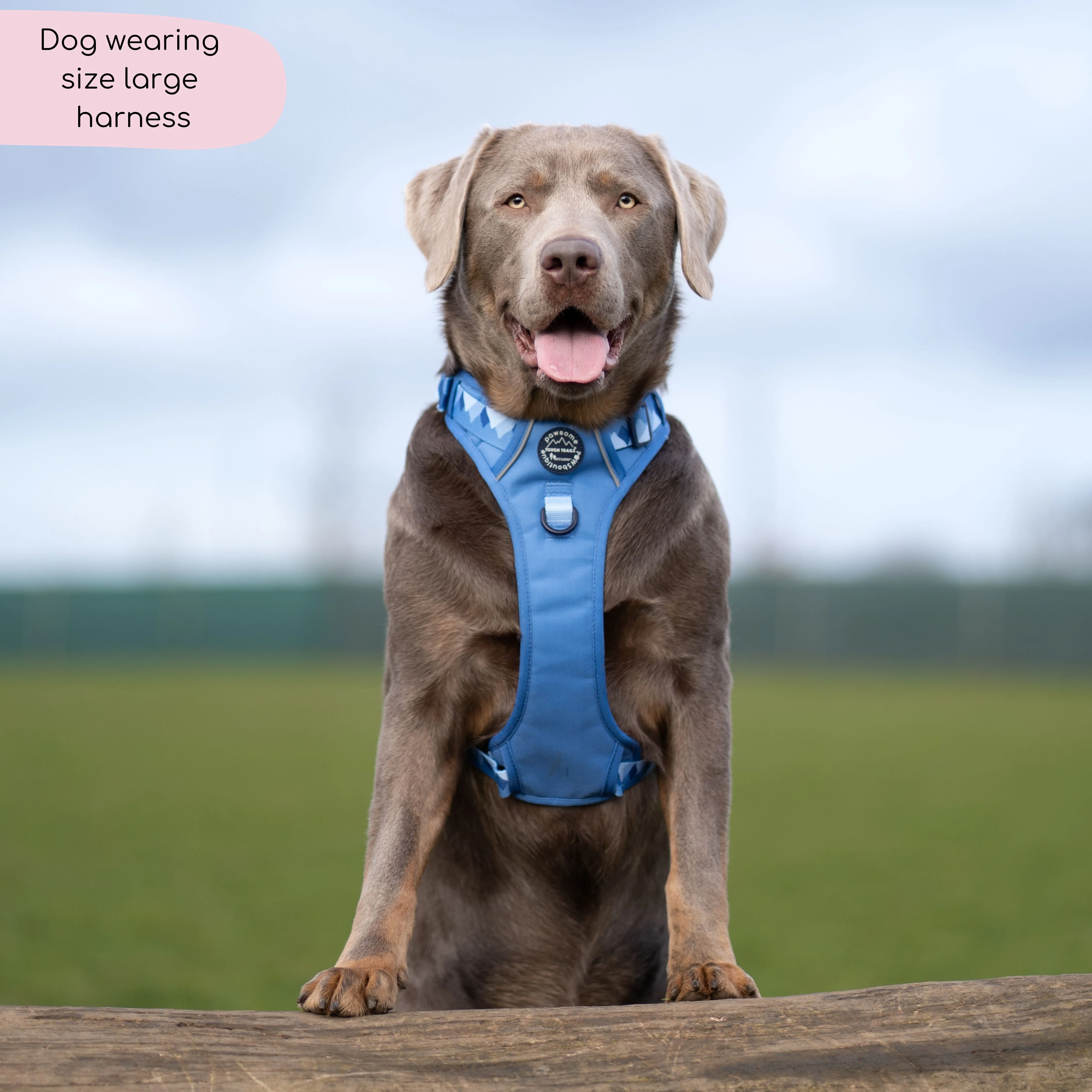 Tough Trails™ Harness - Walkies Ready® Cornflower Blue - Image 6