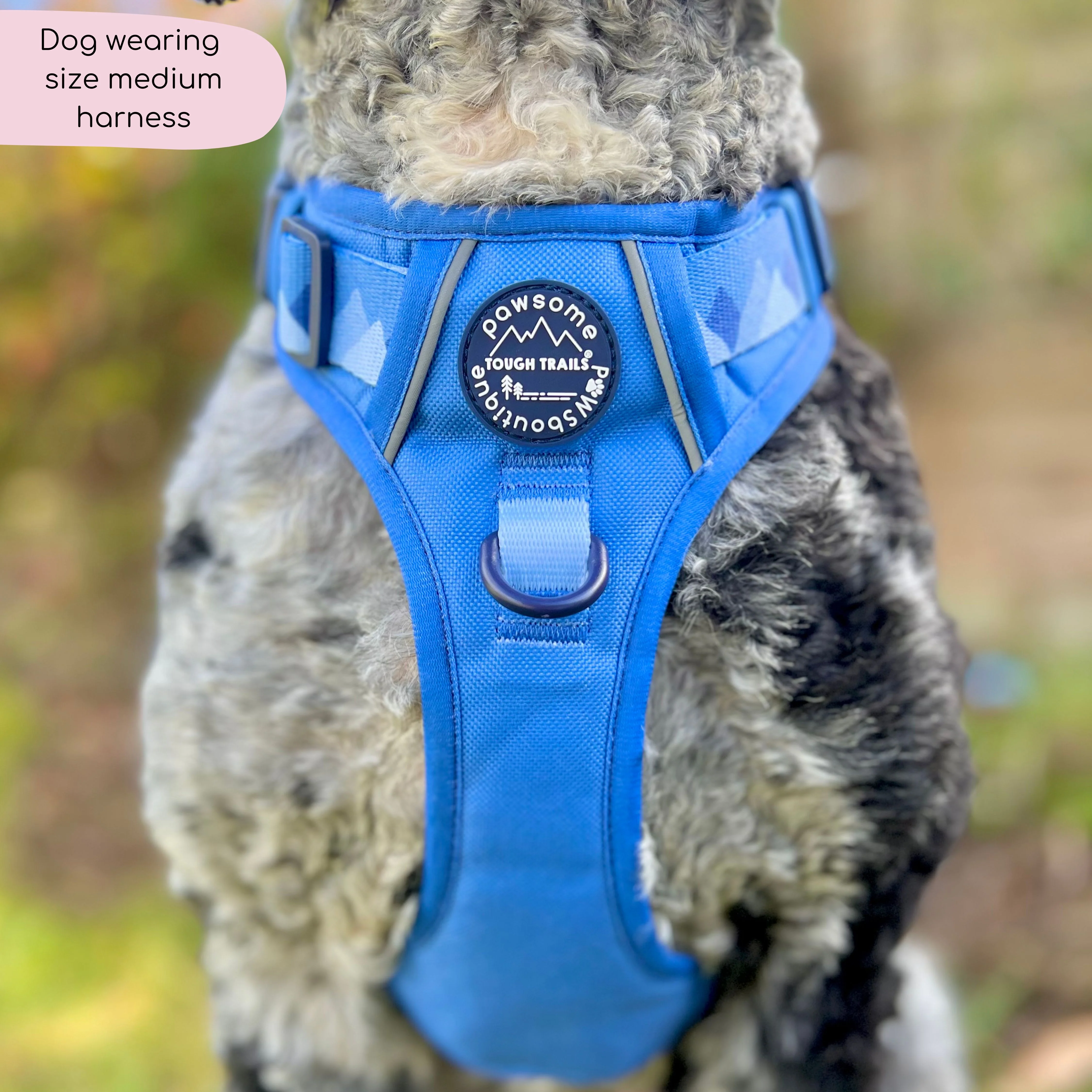 Tough Trails™ Harness - Walkies Ready® Cornflower Blue - Image 9