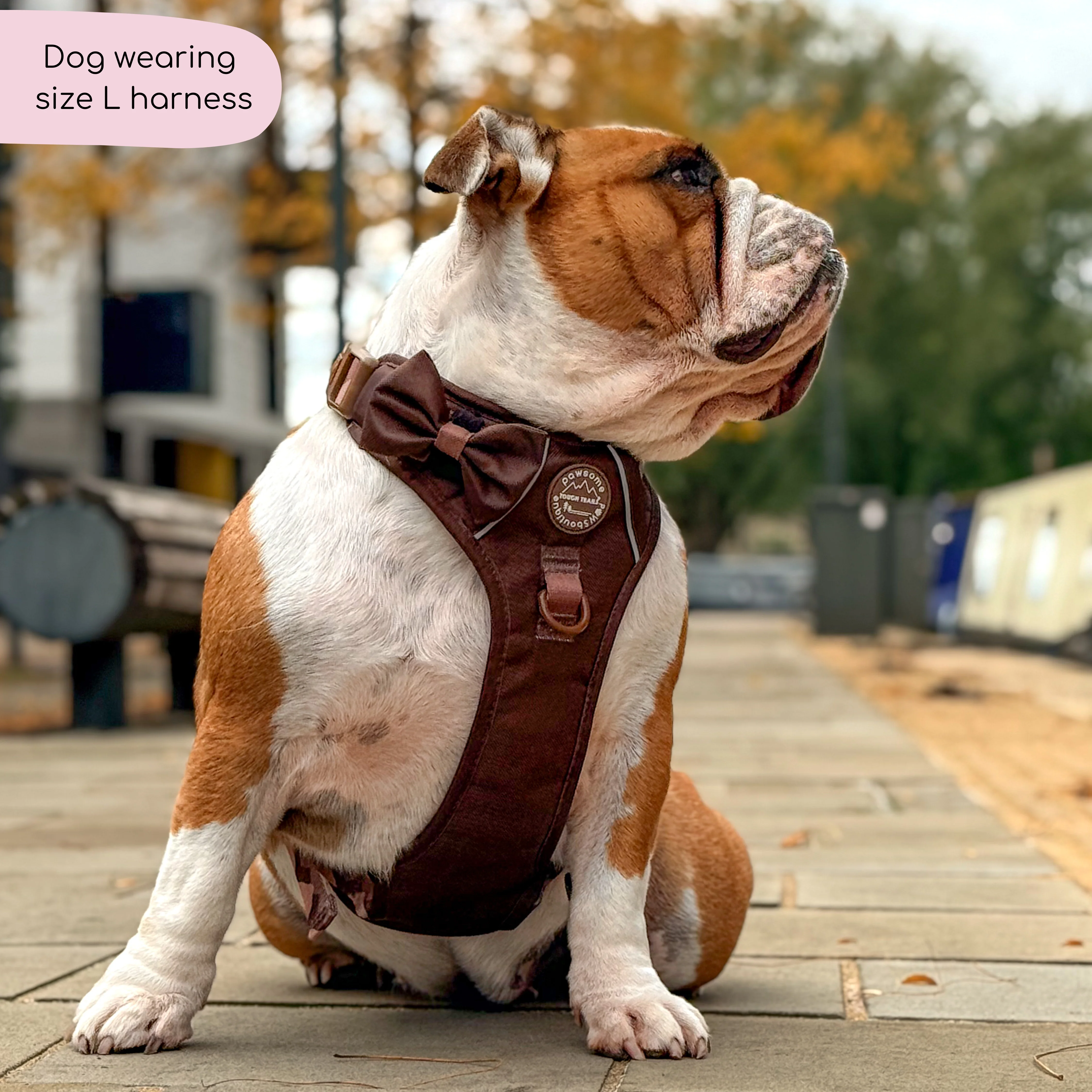 Tough Trails™ Harness - Walkies Ready® Chocolate Brown - Image 28
