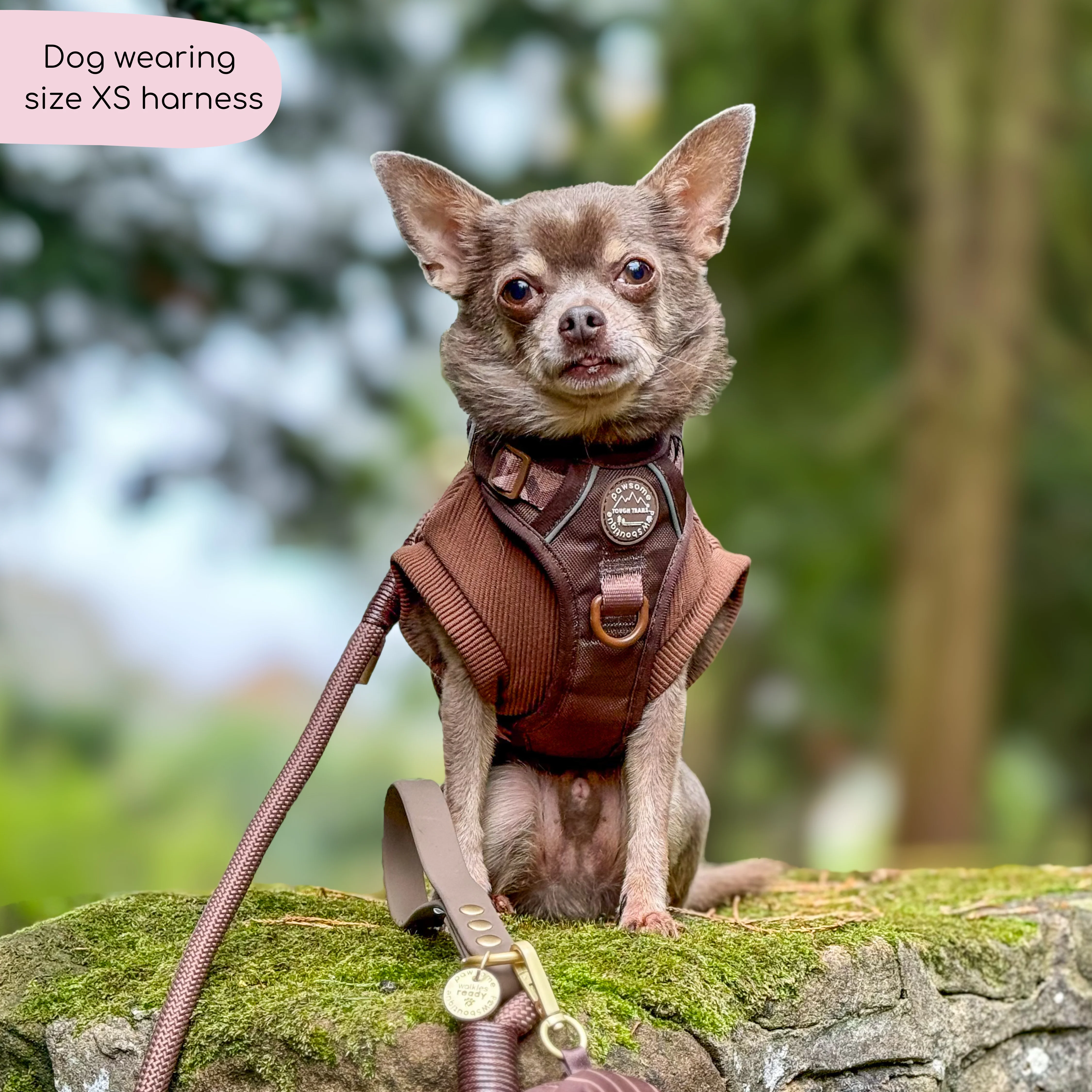 Tough Trails™ Harness - Walkies Ready® Chocolate Brown - Image 31