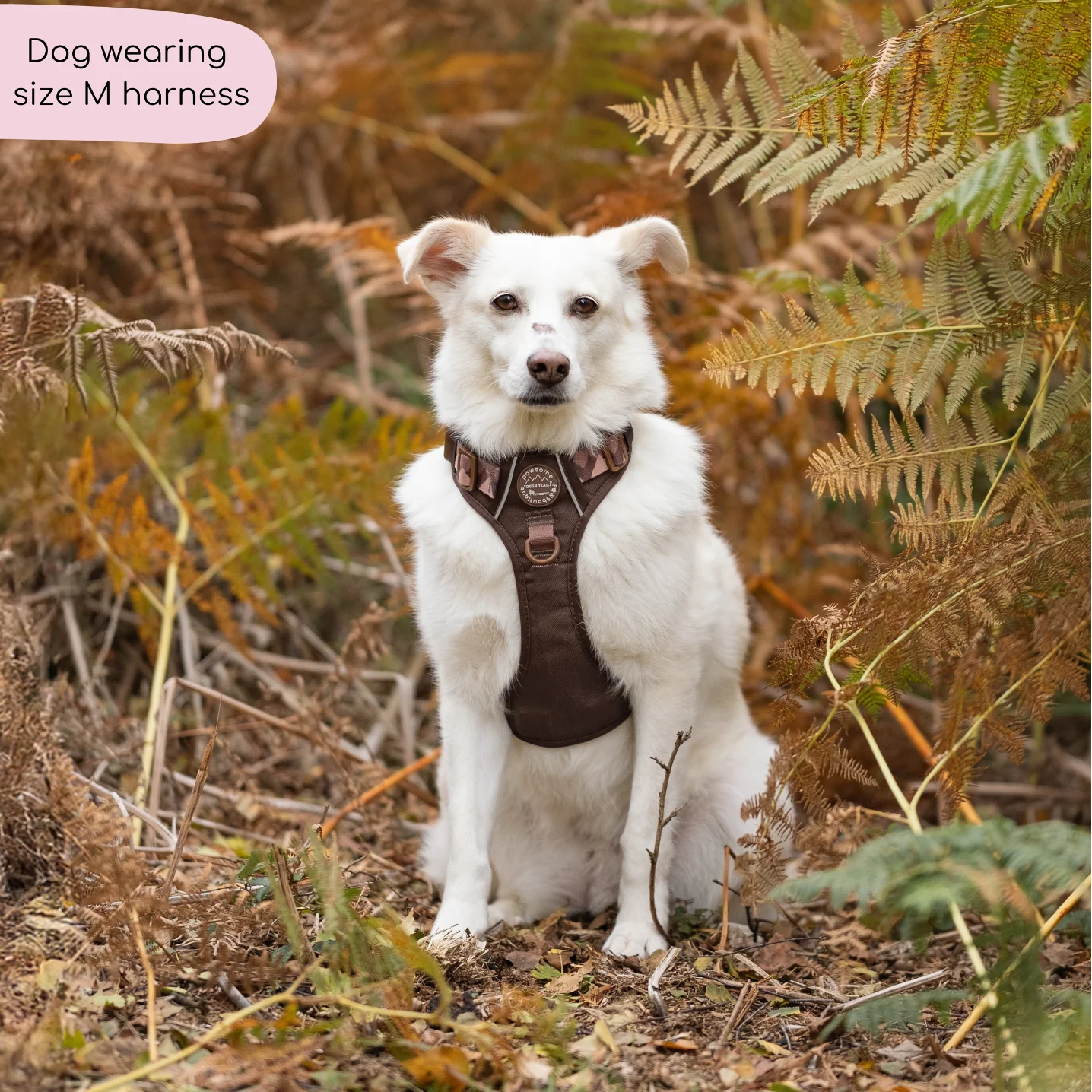 Tough Trails™ Harness - Walkies Ready® Chocolate Brown - Image 9