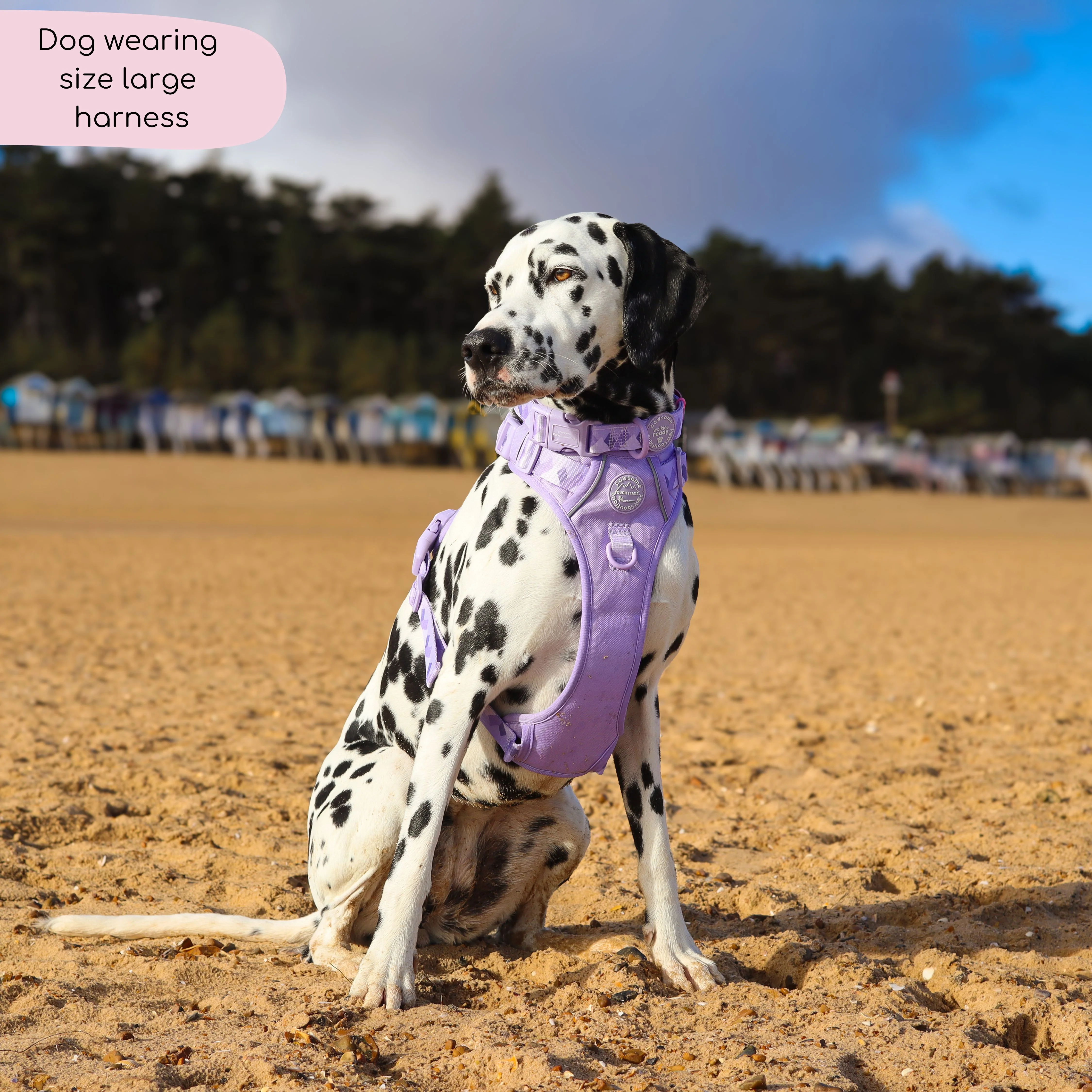 Tough Trails™ Harness - Walkies Ready® Lavender Lilac - Image 12