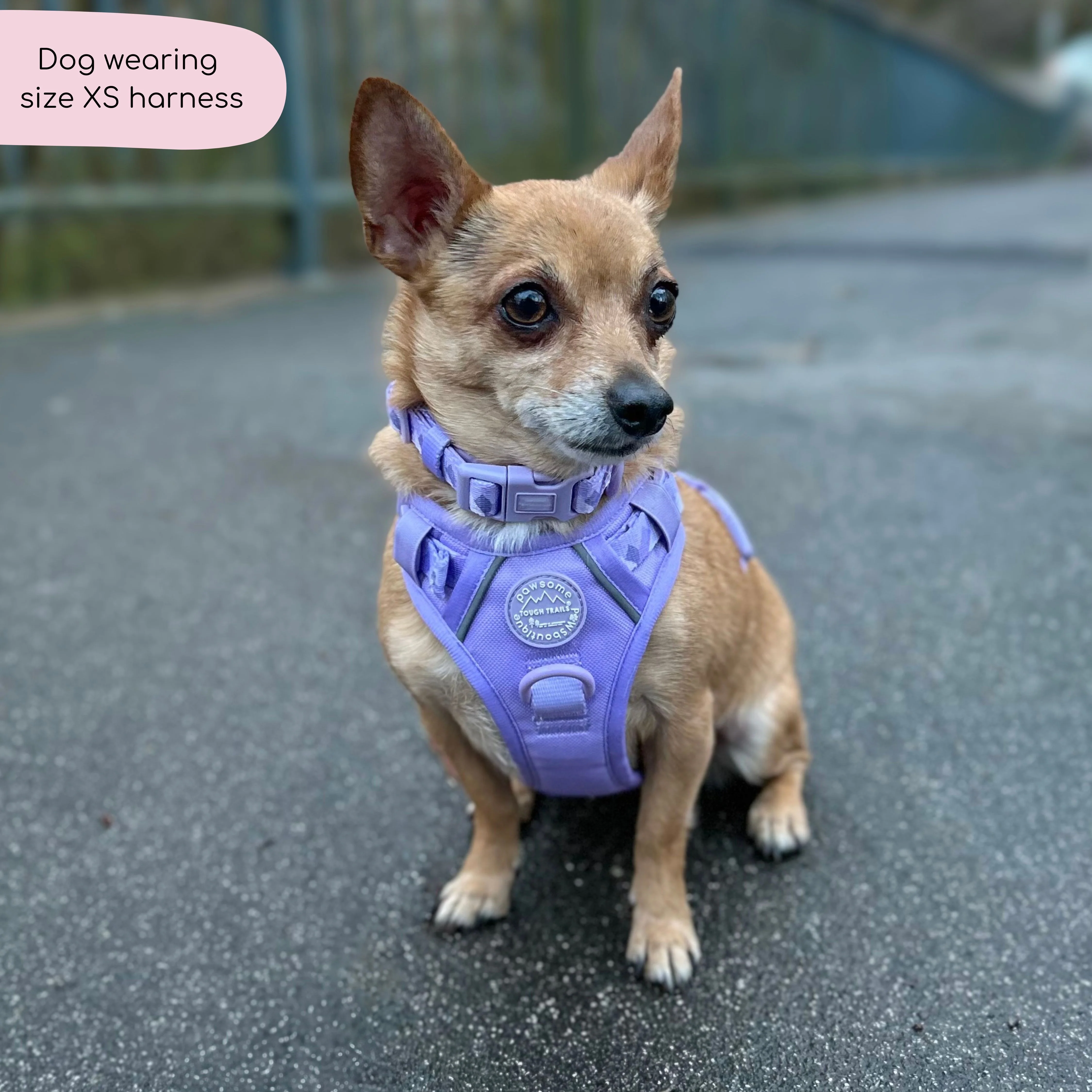 Tough Trails™ Harness - Walkies Ready® Lavender Lilac - Image 21