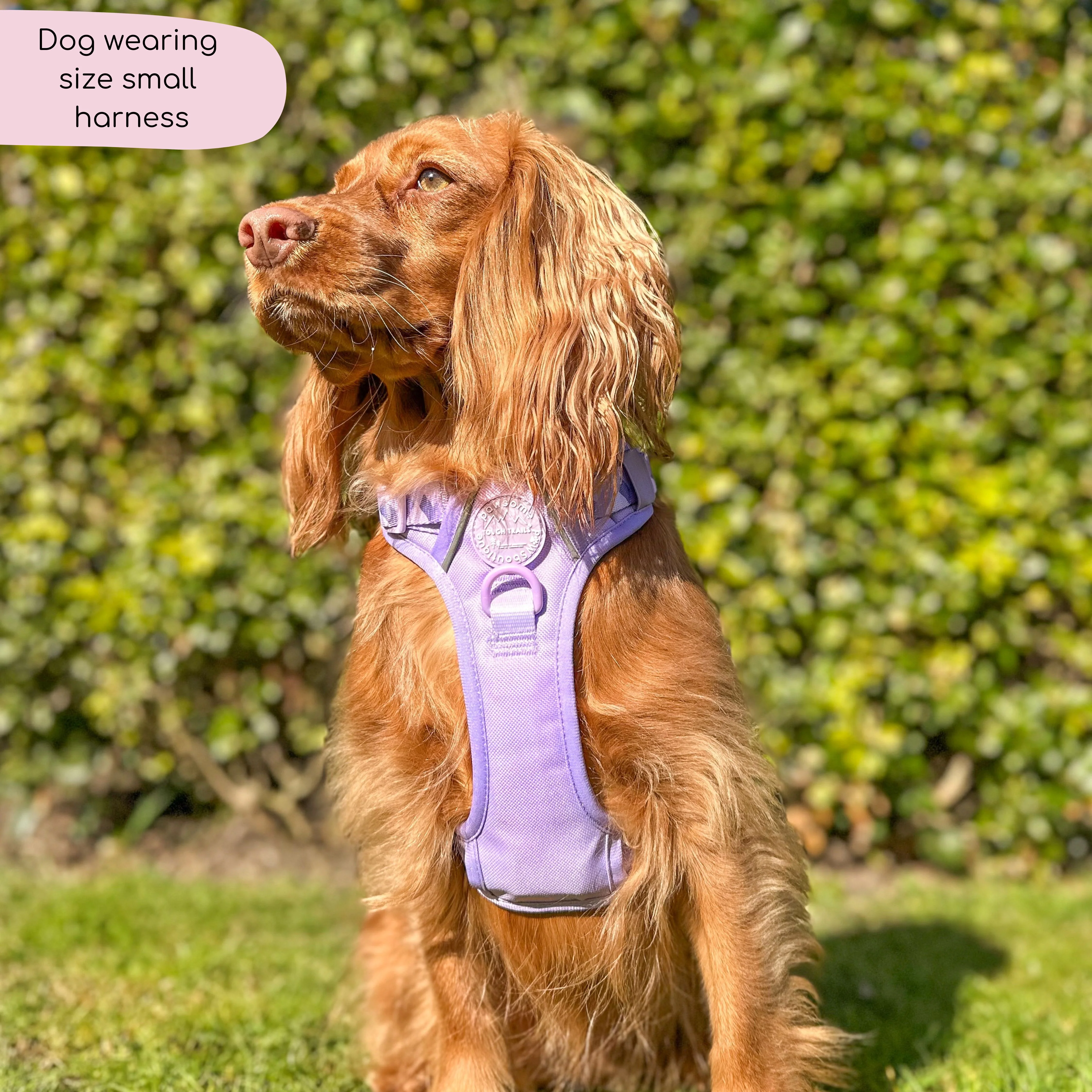 Tough Trails™ Harness - Walkies Ready® Lavender Lilac - Image 22