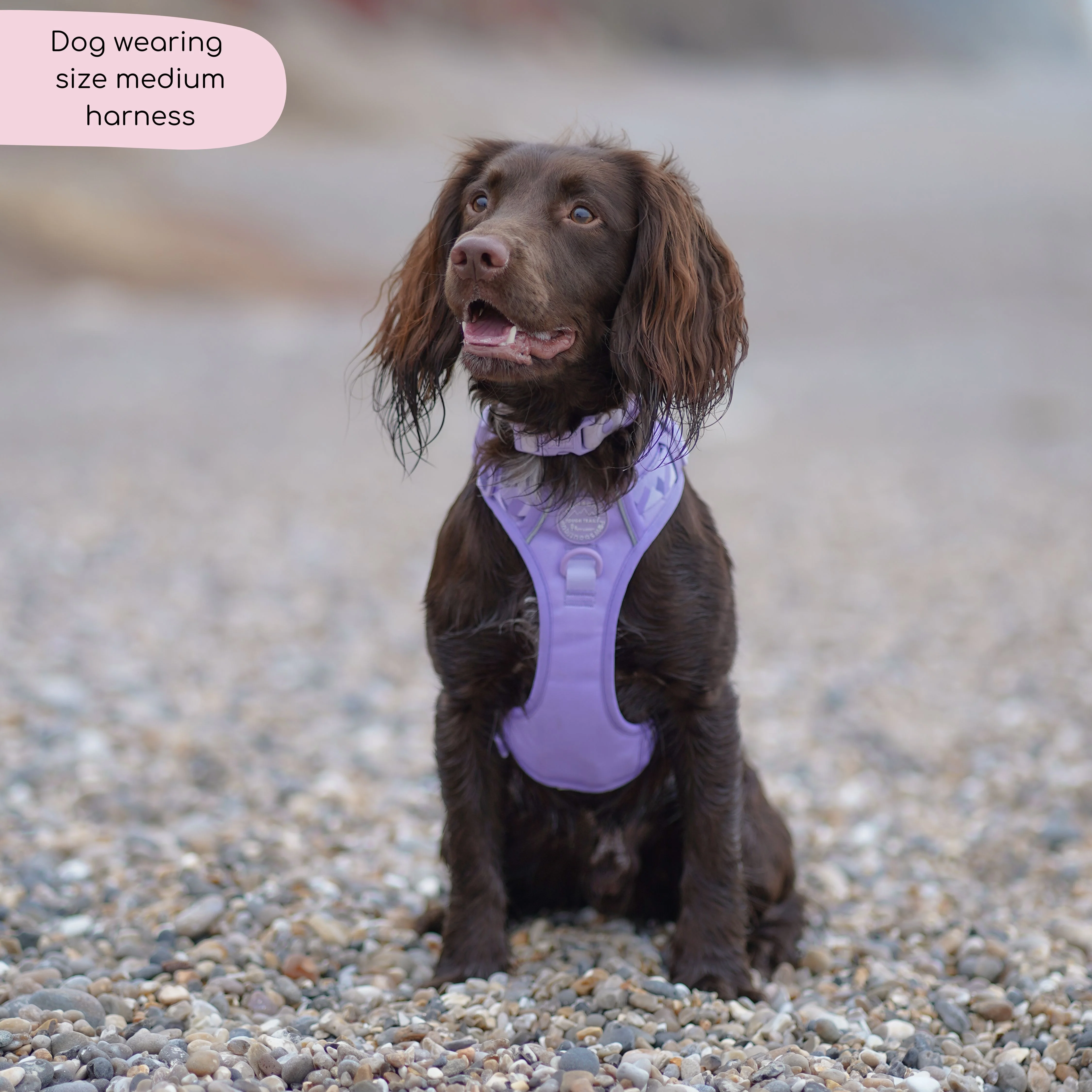 Tough Trails™ Harness - Walkies Ready® Lavender Lilac - Image 6