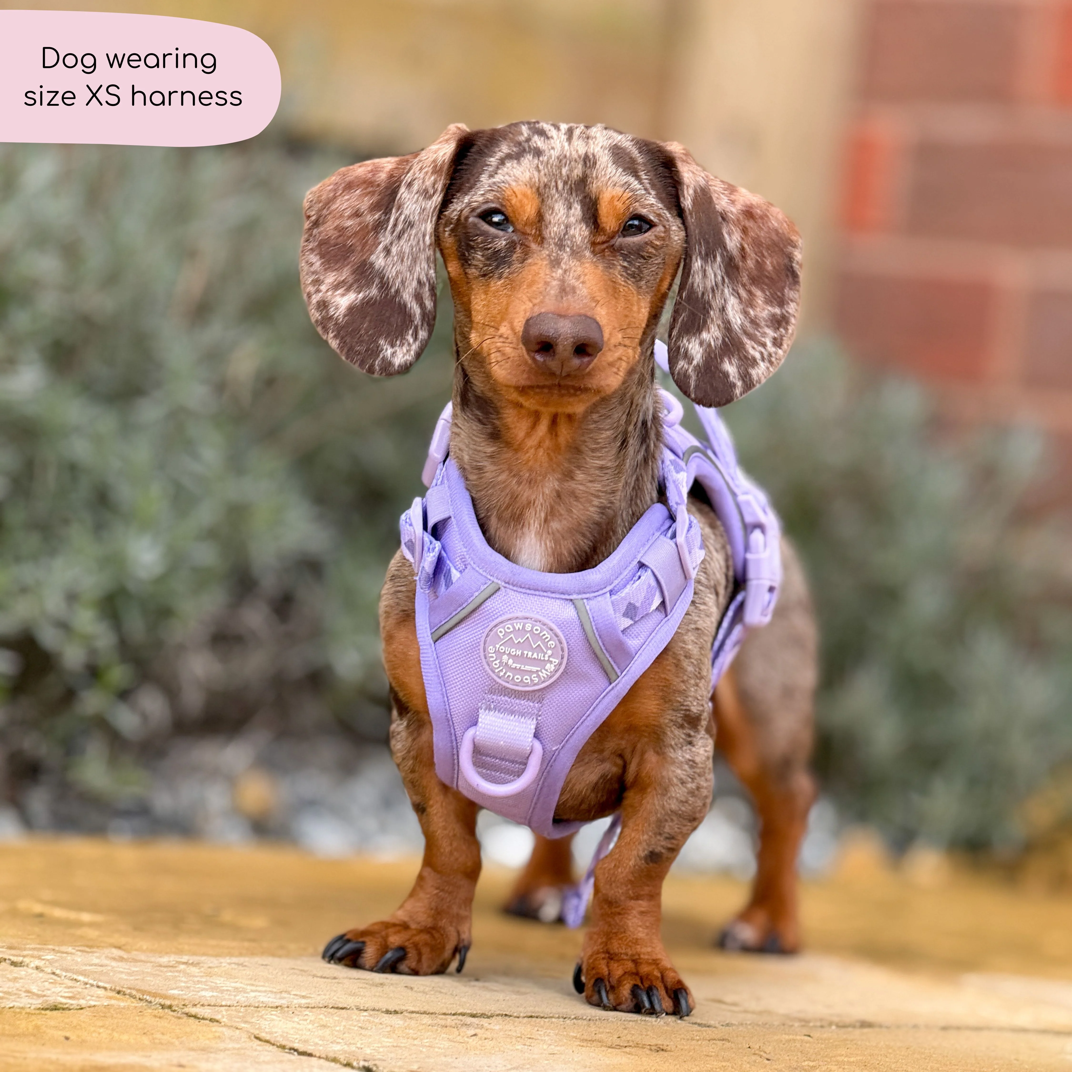 Tough Trails™ Harness - Walkies Ready® Lavender Lilac - Image 8