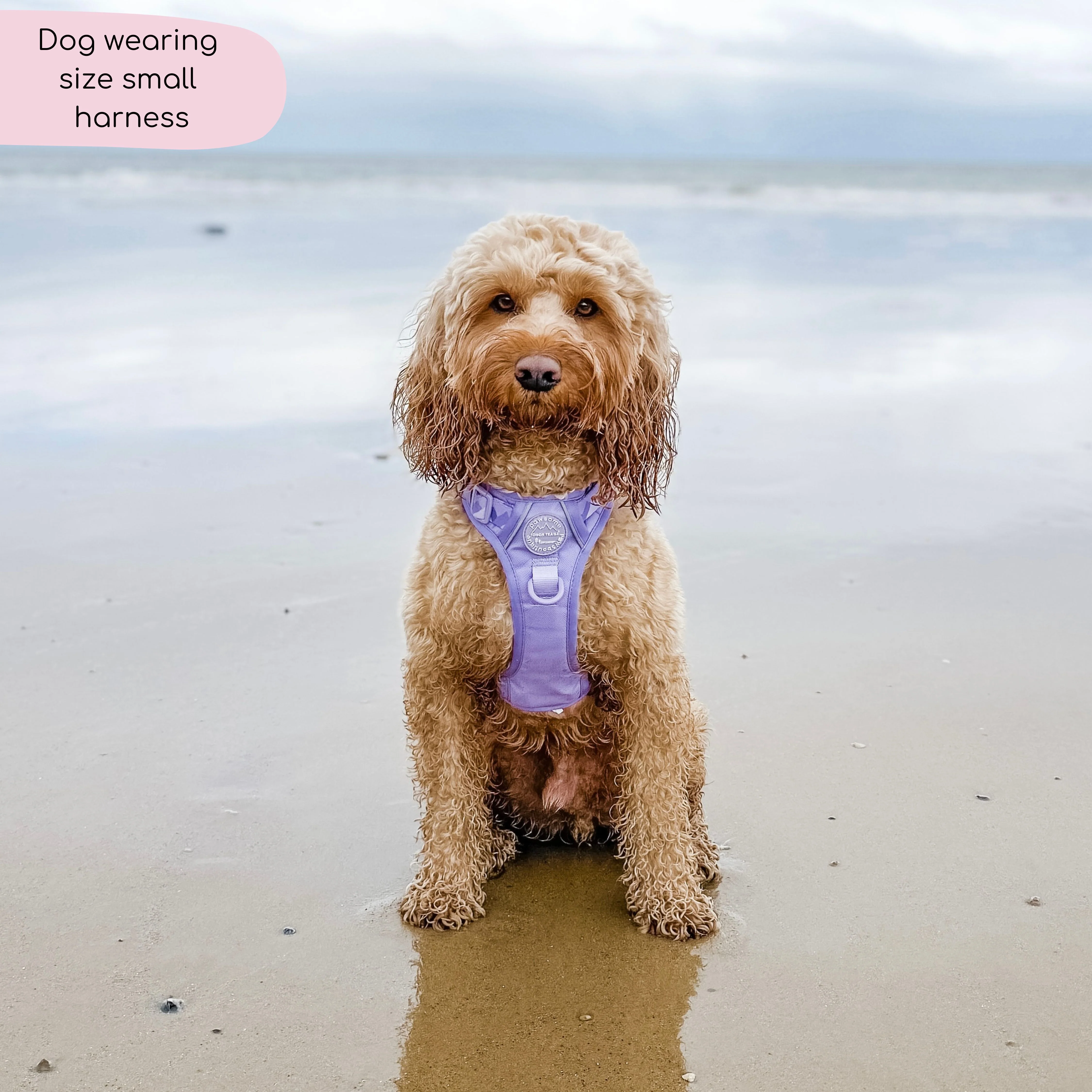 Tough Trails™ Harness - Walkies Ready® Lavender Lilac - Image 9