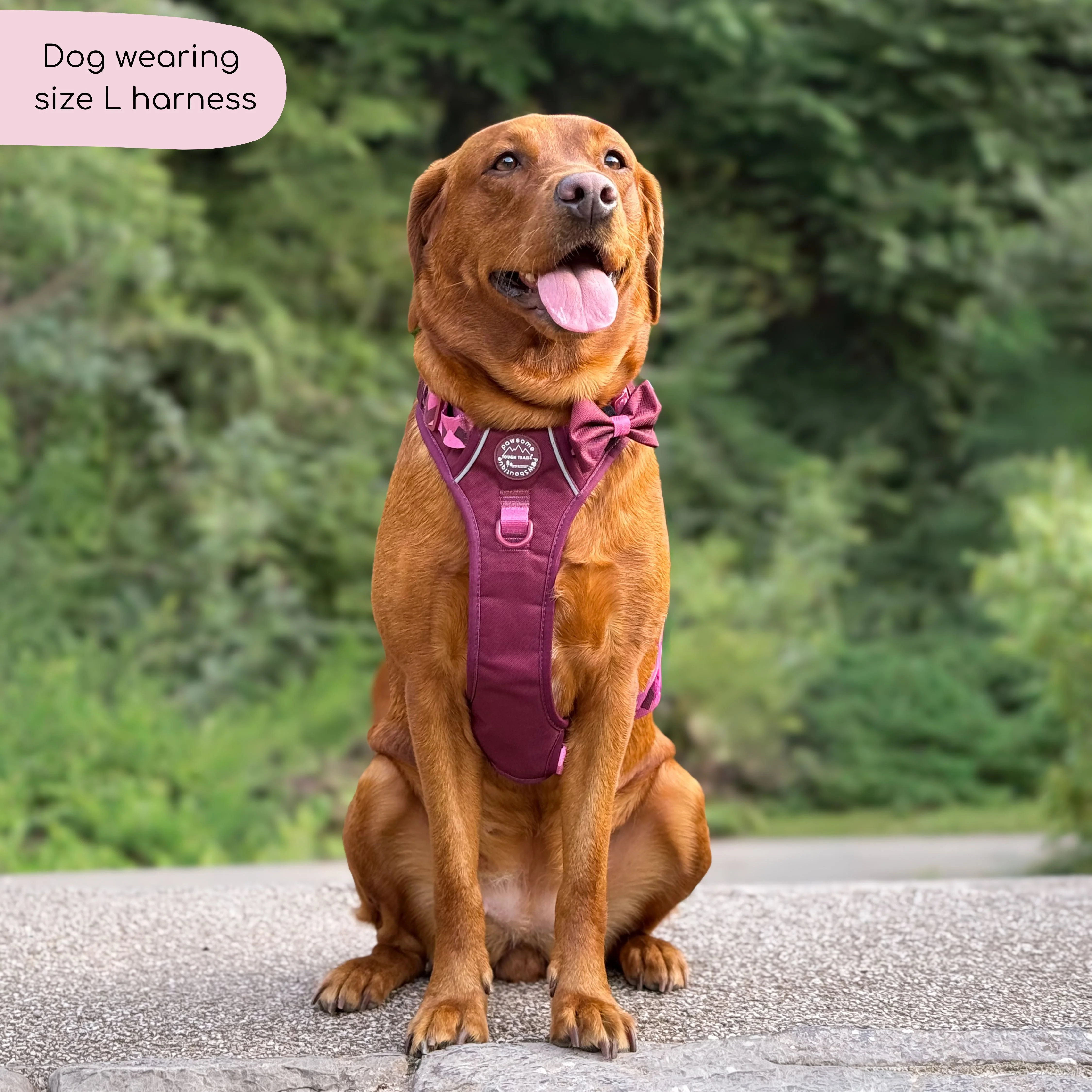 Tough Trails™ Harness - Walkies Ready® Mulberry - Image 13